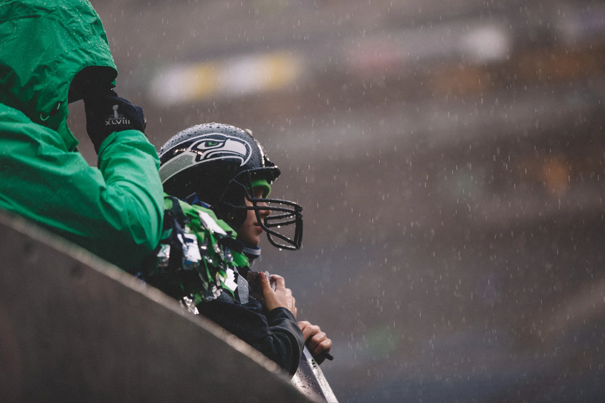 Seahawks Packers NFC Championship Game -15.JPG