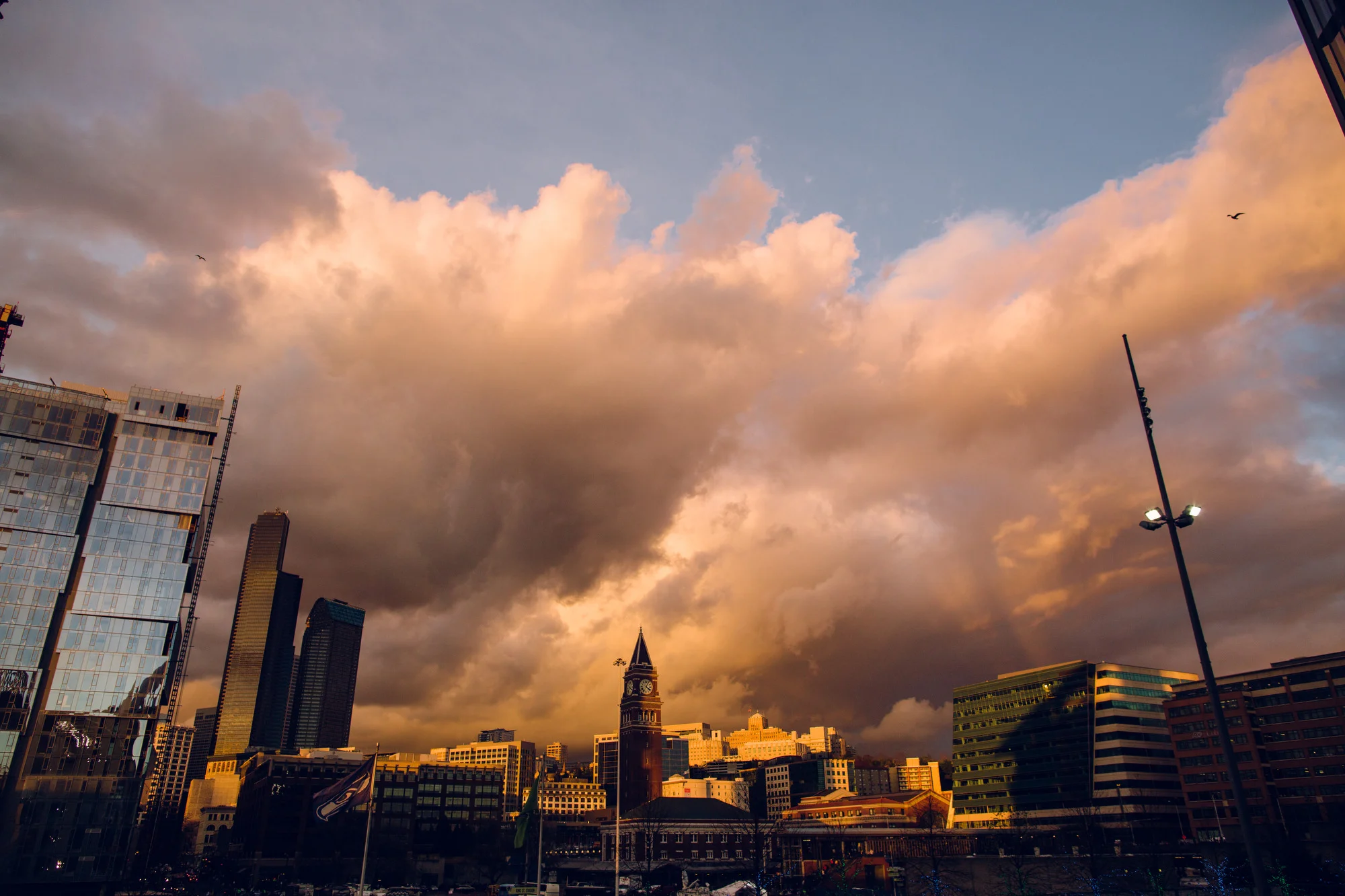 Seahawks v Saints  17.JPG