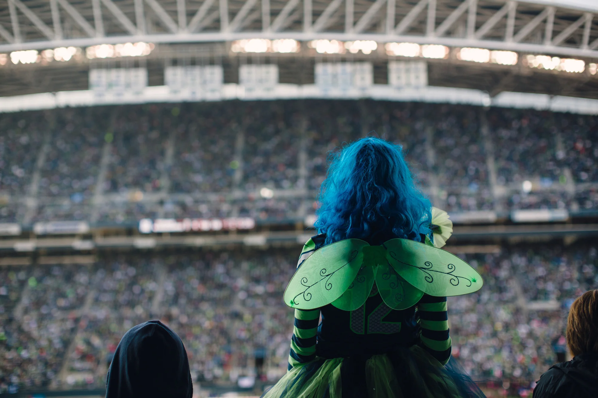 Seahawks vs Titans  91.JPG