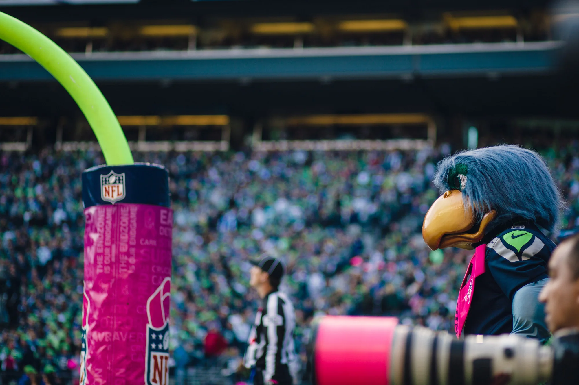 Seahawks vs Titans  129.JPG