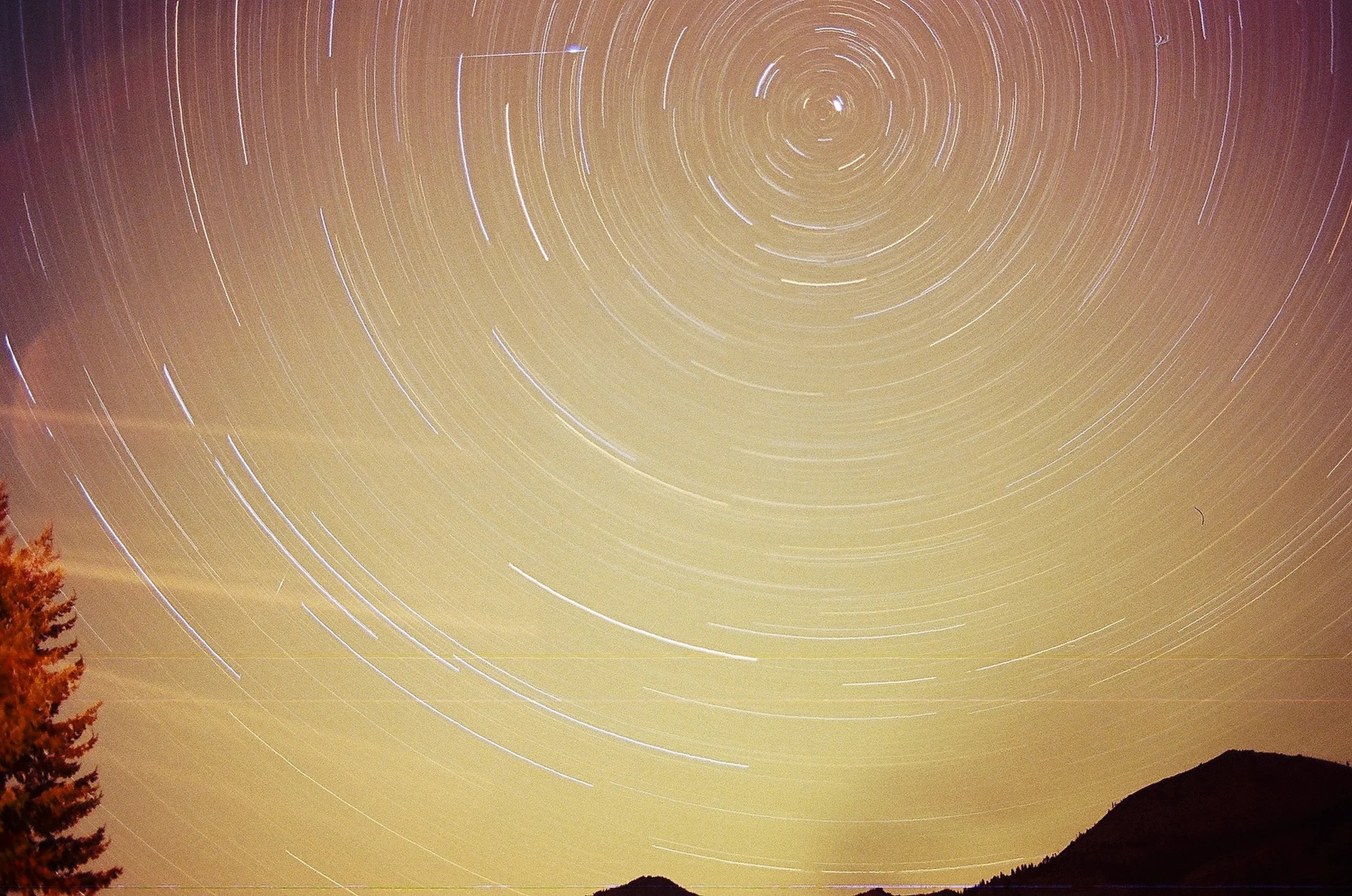 Film is not dead 204.JPG