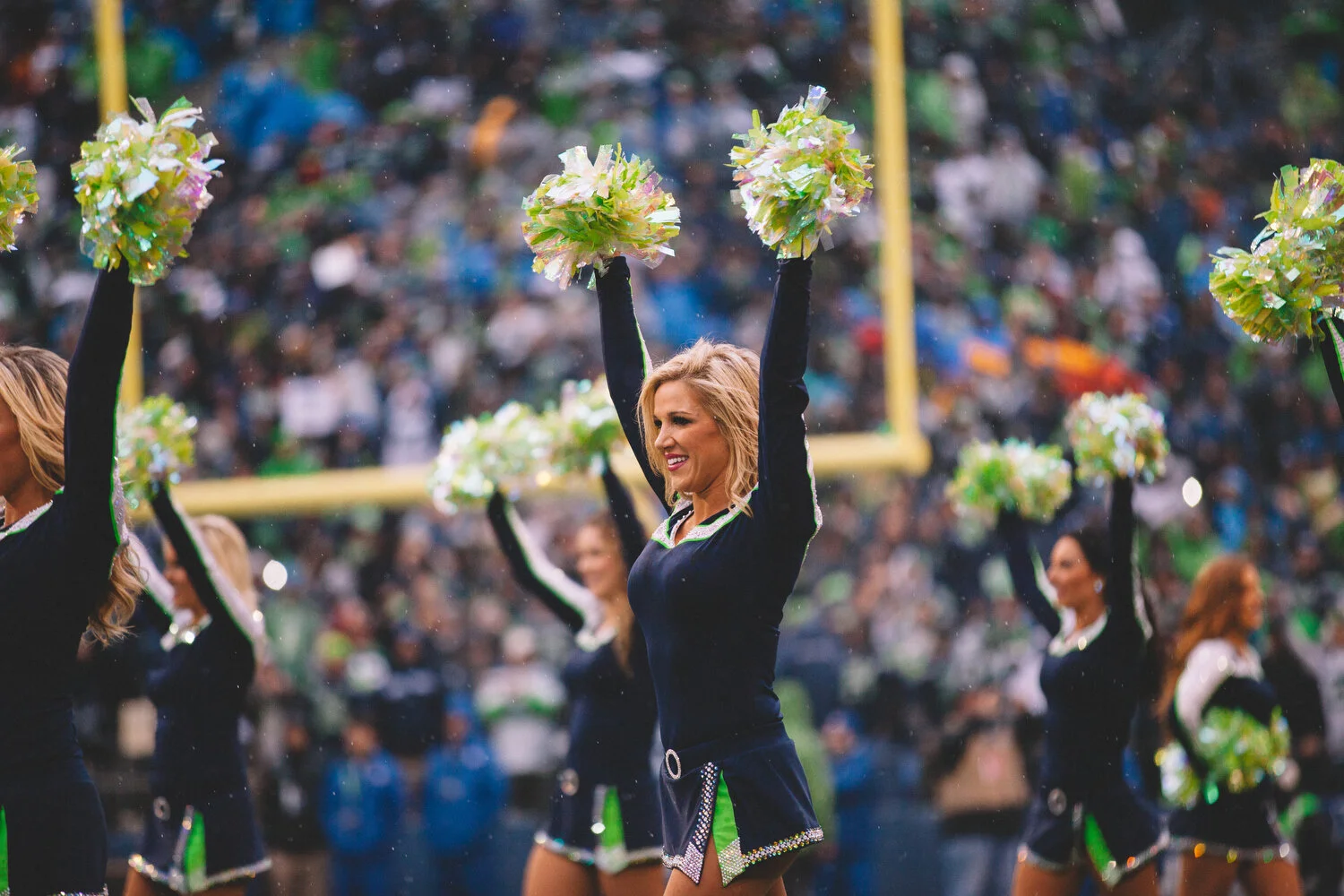 Seahawks Packers NFC Championship Game -72.JPG