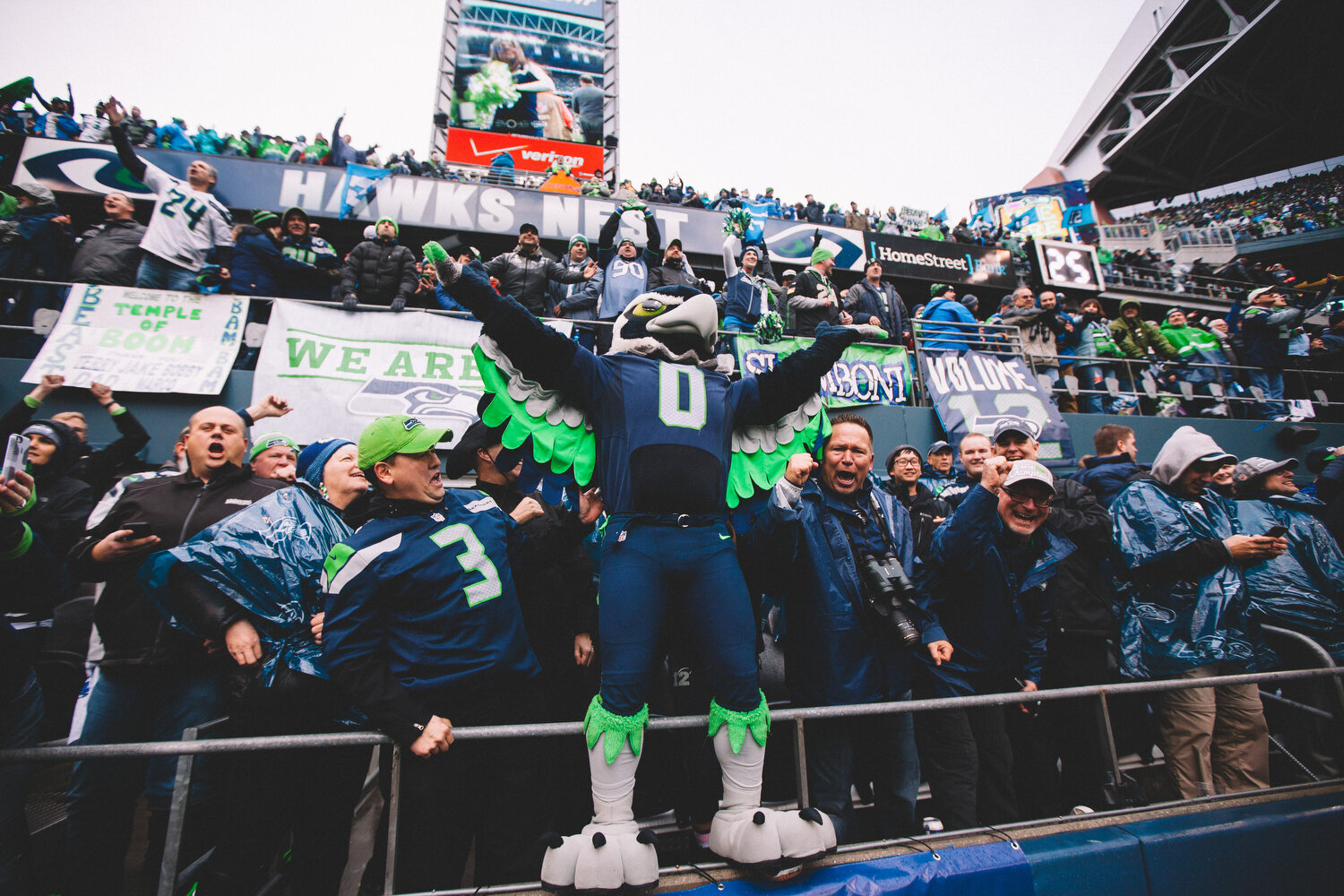 Seahawks Packers NFC Championship Game -246.JPG