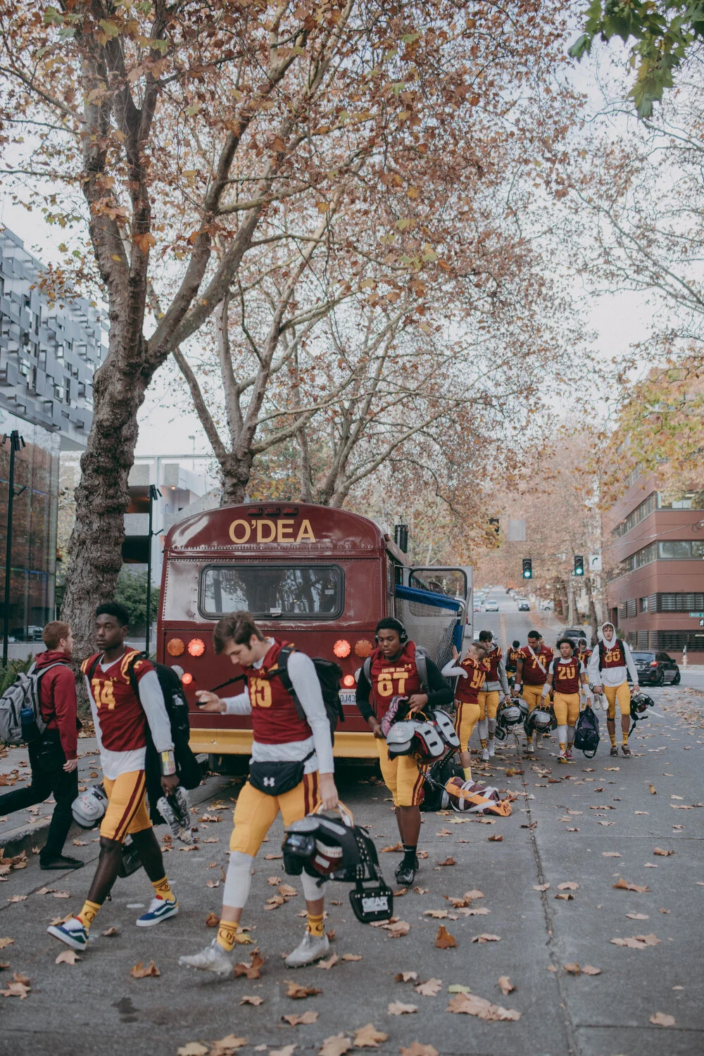 O'Dea v Ferndale - 2.JPG