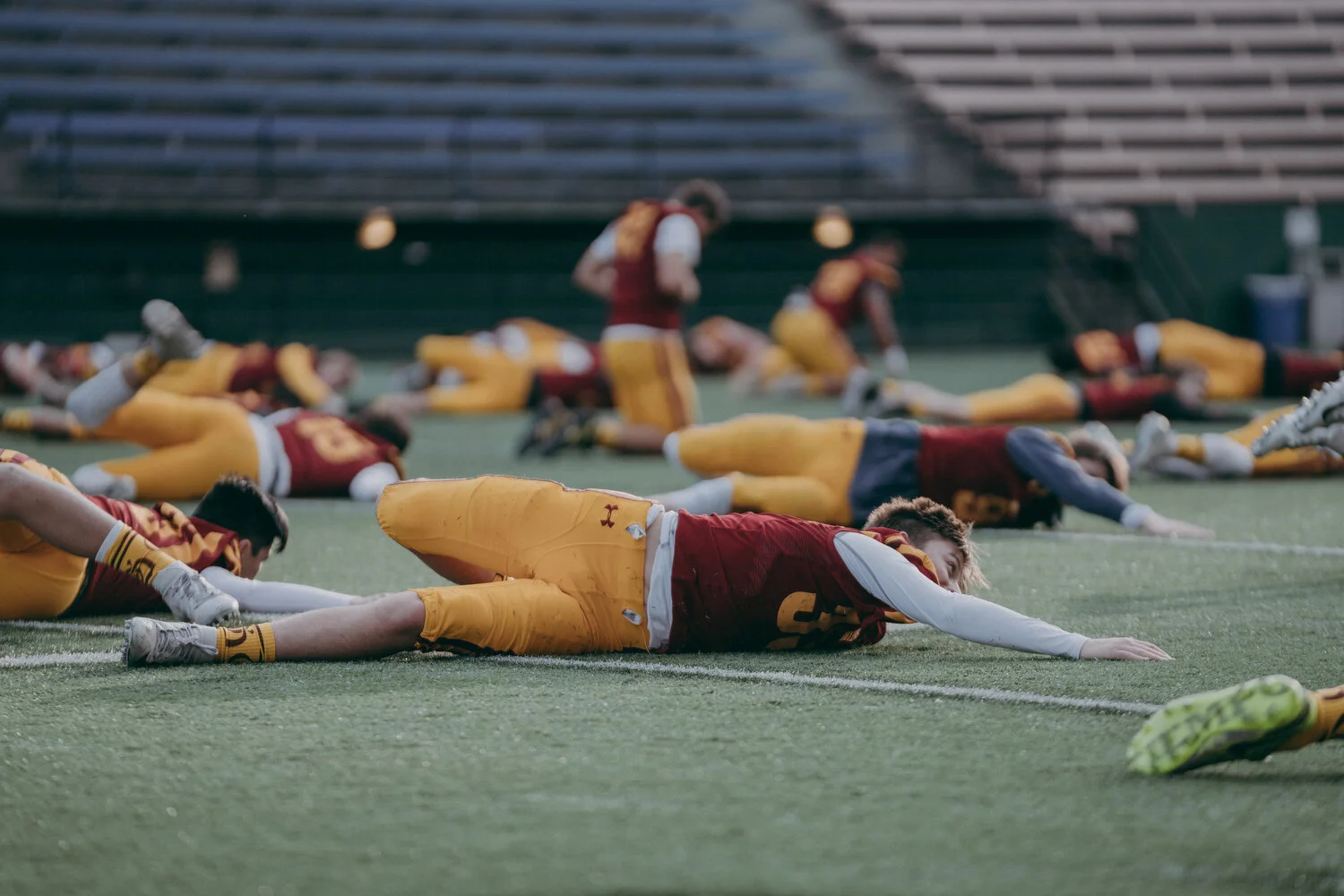 O'Dea v Ferndale - 4.JPG