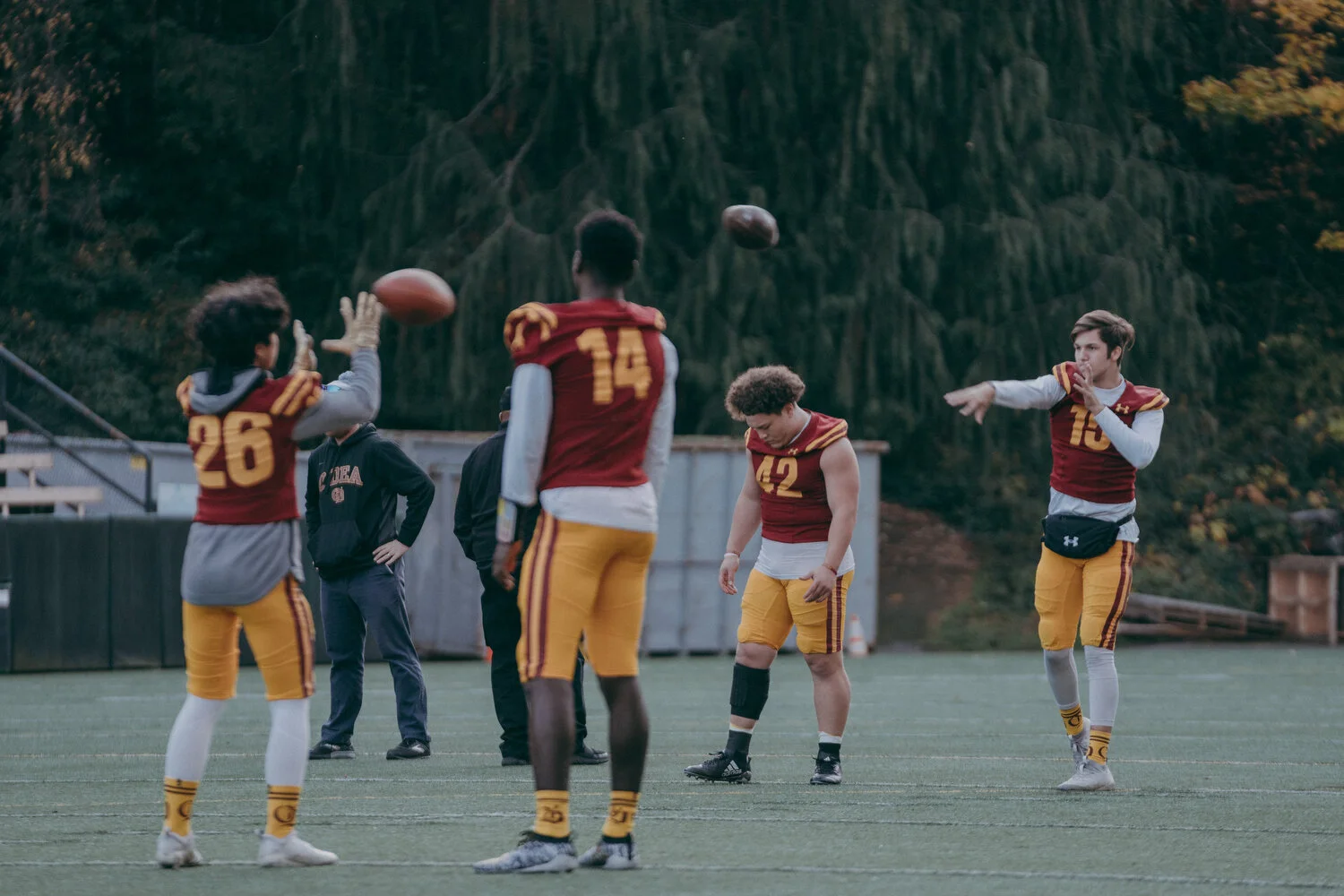 O'Dea v Ferndale - 12.JPG