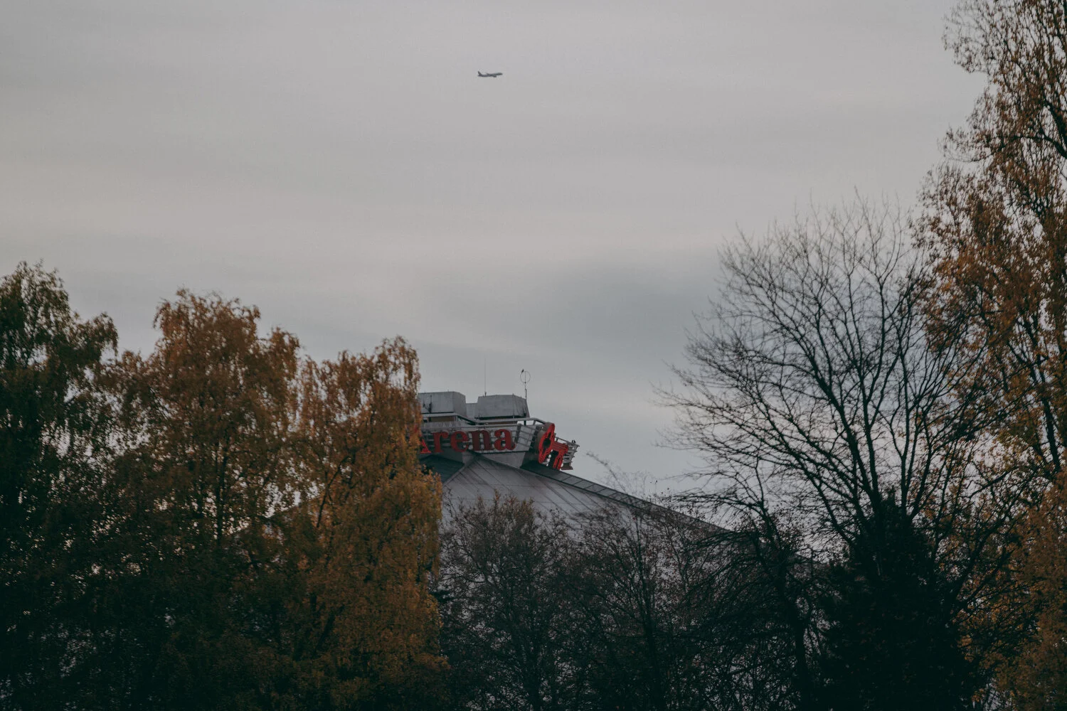 O'Dea v Ferndale - 32.JPG