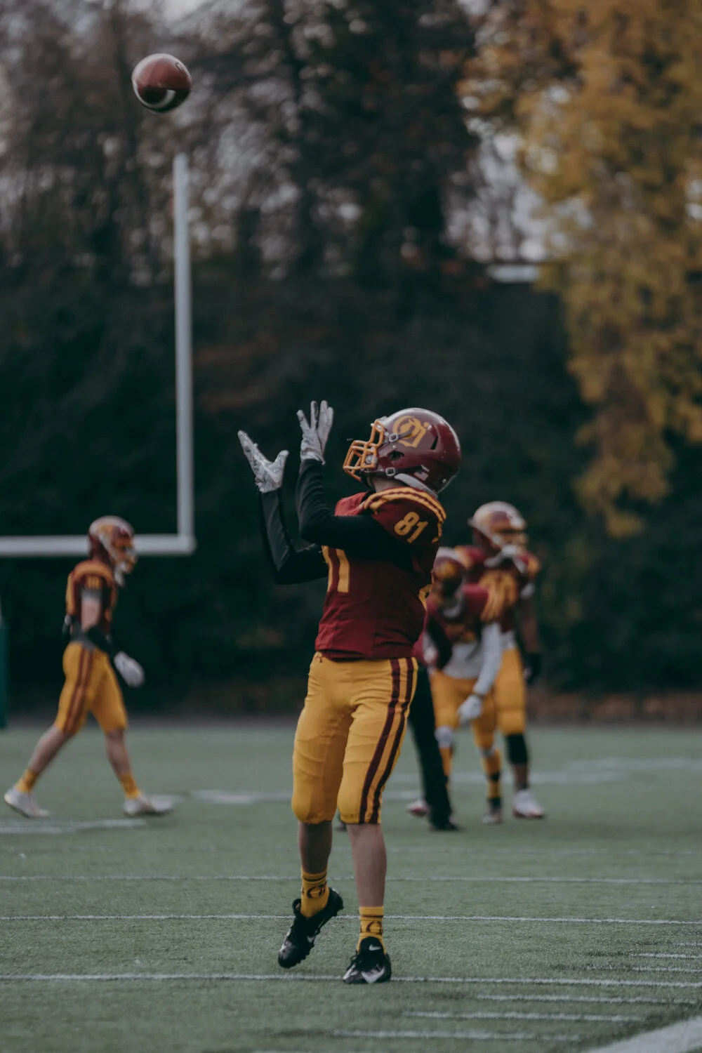 O'Dea v Ferndale - 46.JPG