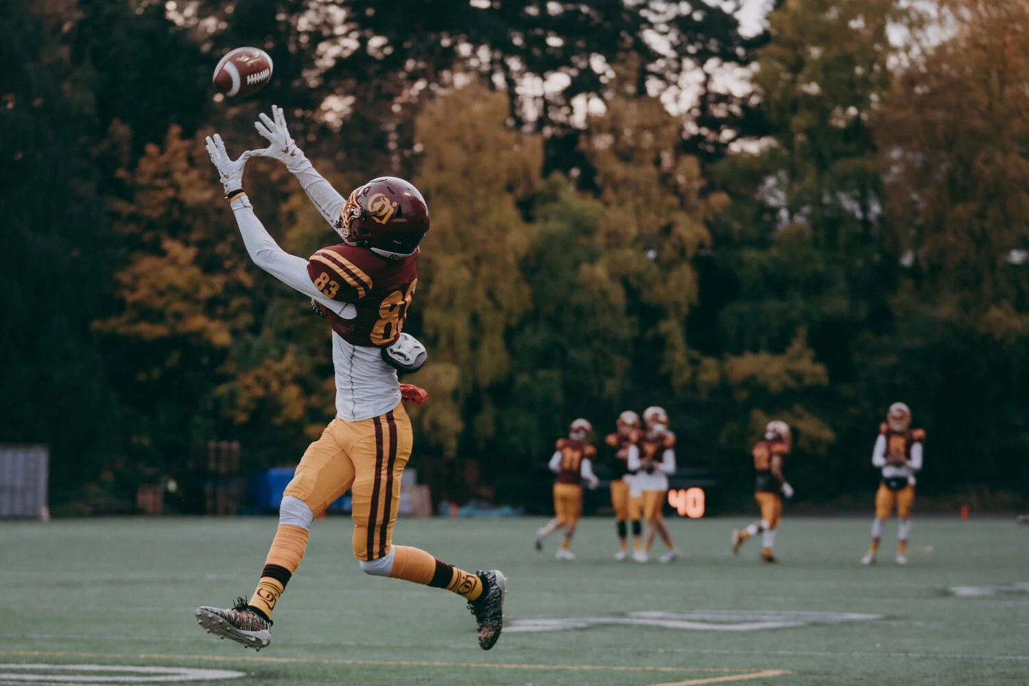 O'Dea v Ferndale - 57.JPG
