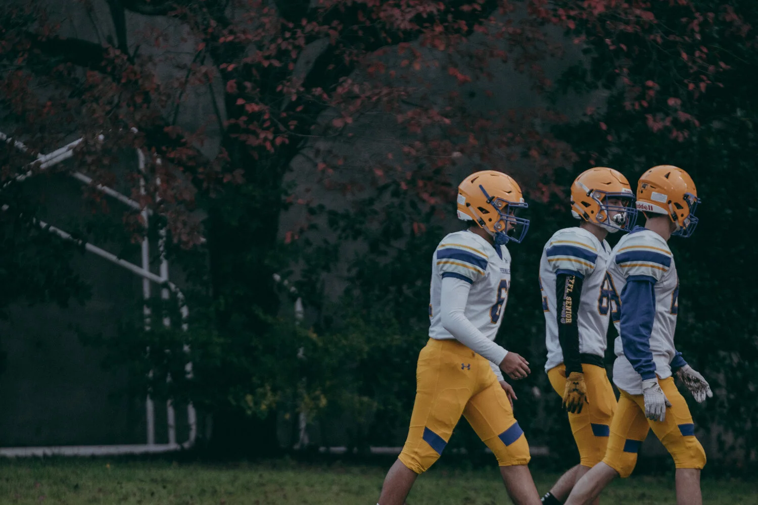 O'Dea v Ferndale - 95.JPG