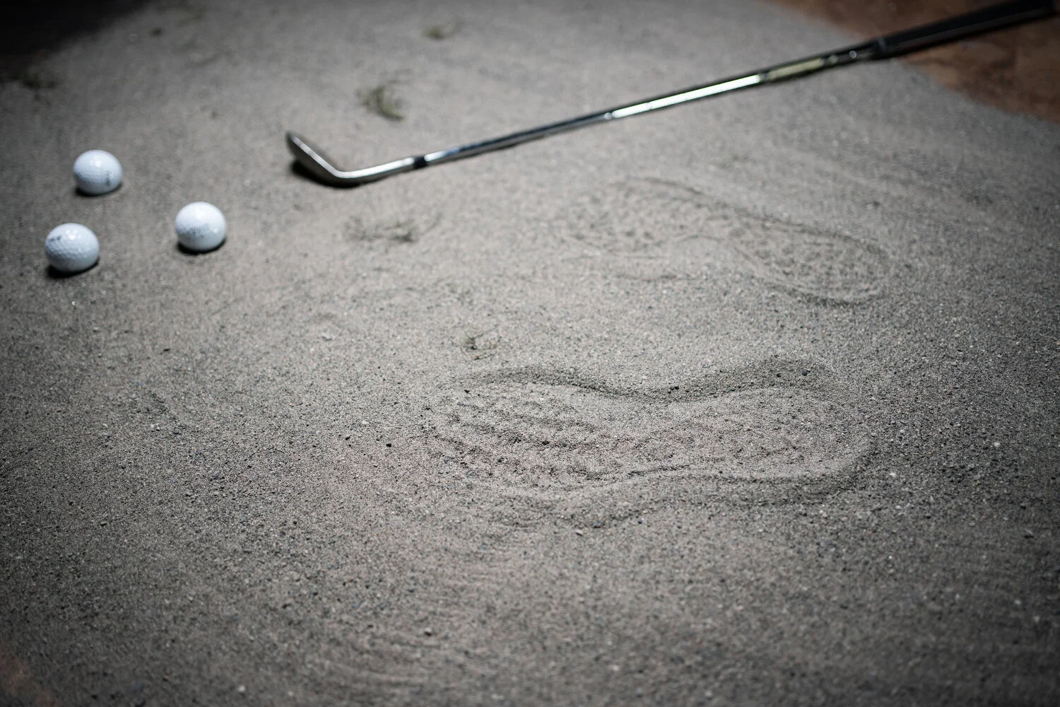 2020 SAMPLE - Studio 155.JPG