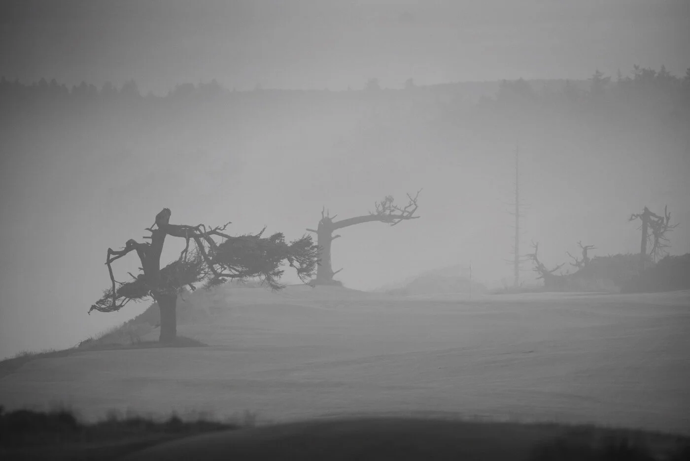 Bandon Dunes - Jeff Marsh 60.JPG