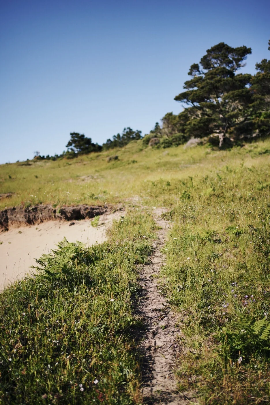 Bandon Dunes - Jeff Marsh 136.JPG