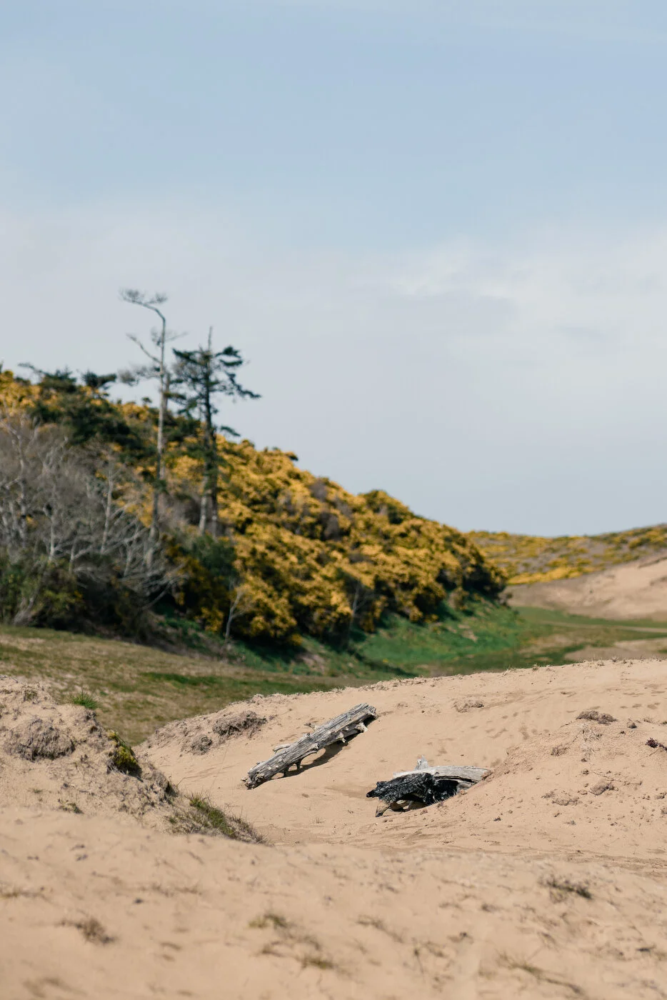 Bandon Dunes - Jeff Marsh 192.JPG