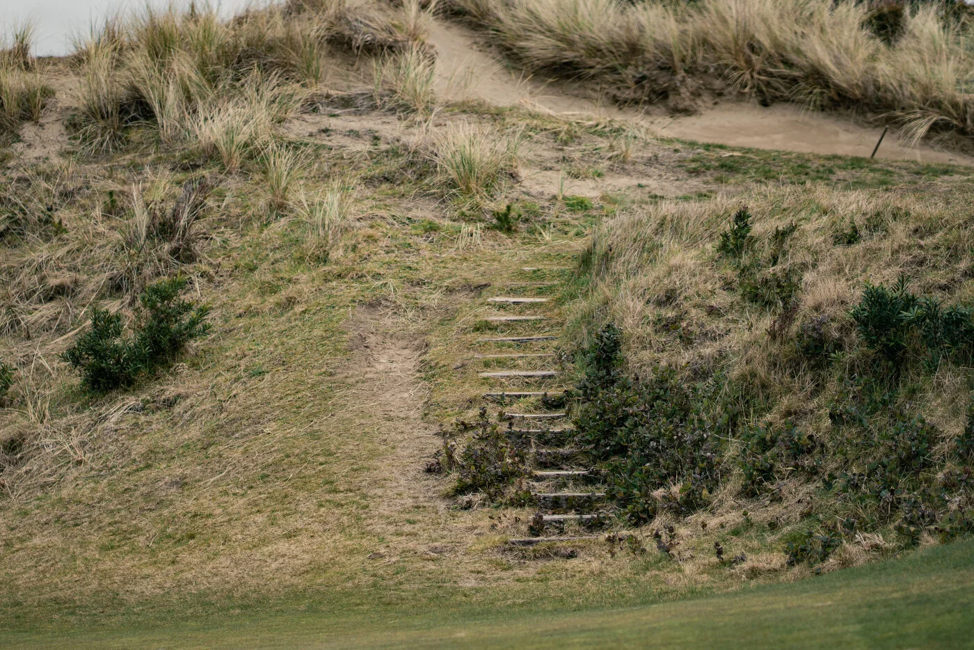 Bandon Dunes - Jeff Marsh 195.JPG