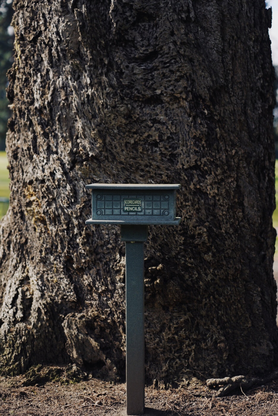 3408BE32-428A-4B21-9CF5-DDBEF9211A98 2.JPG