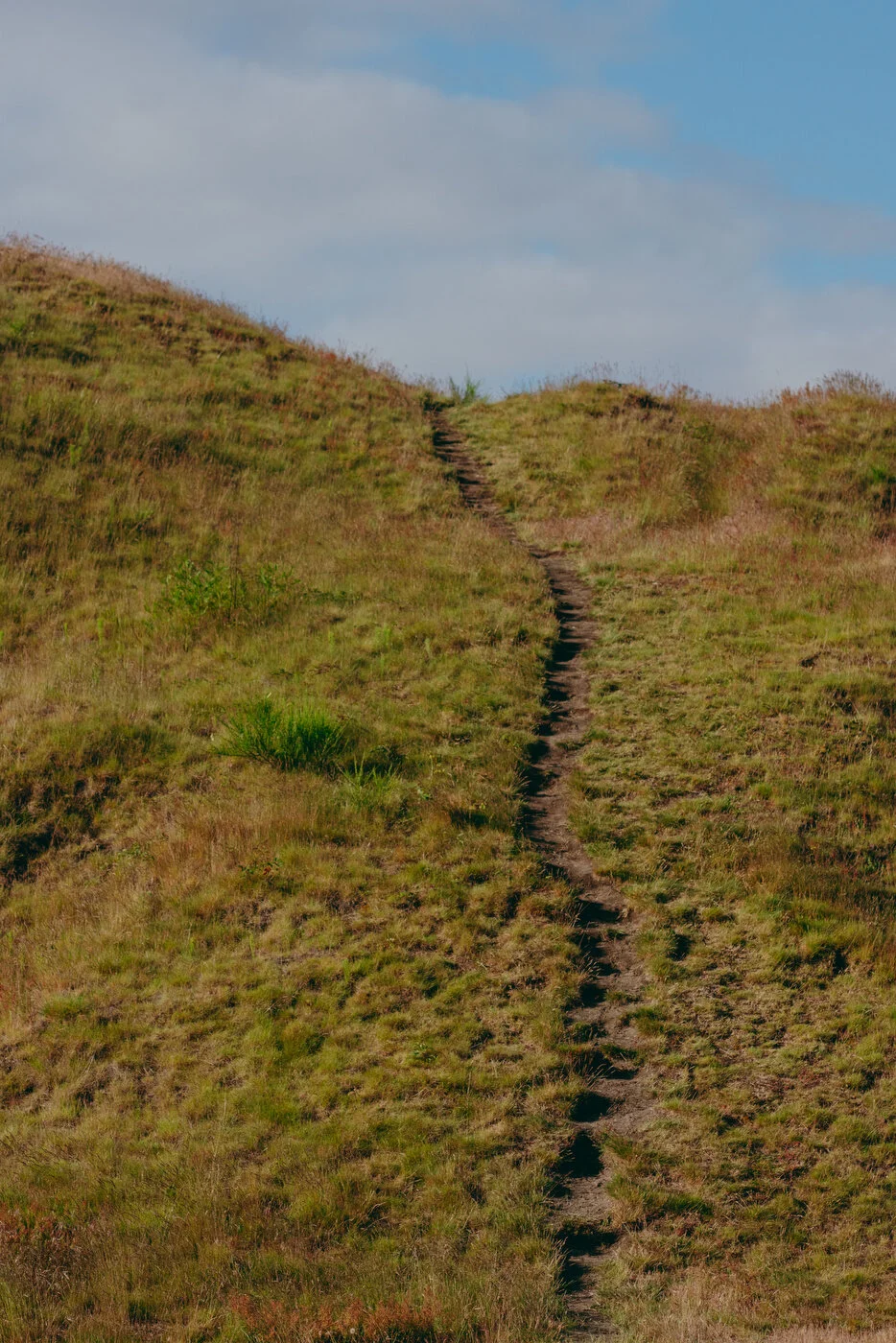 Chambers Best-22.JPG