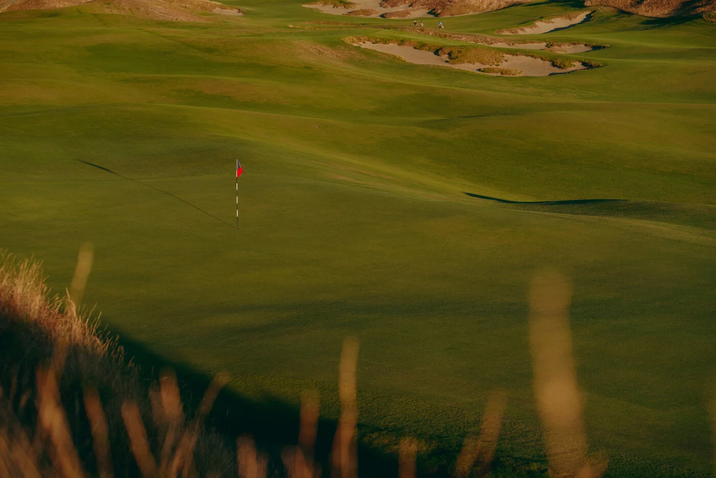 Chambers Best-31.JPG