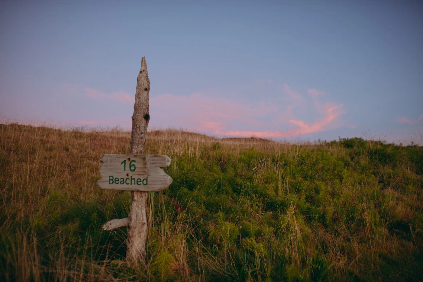 Chambers Best-39.JPG