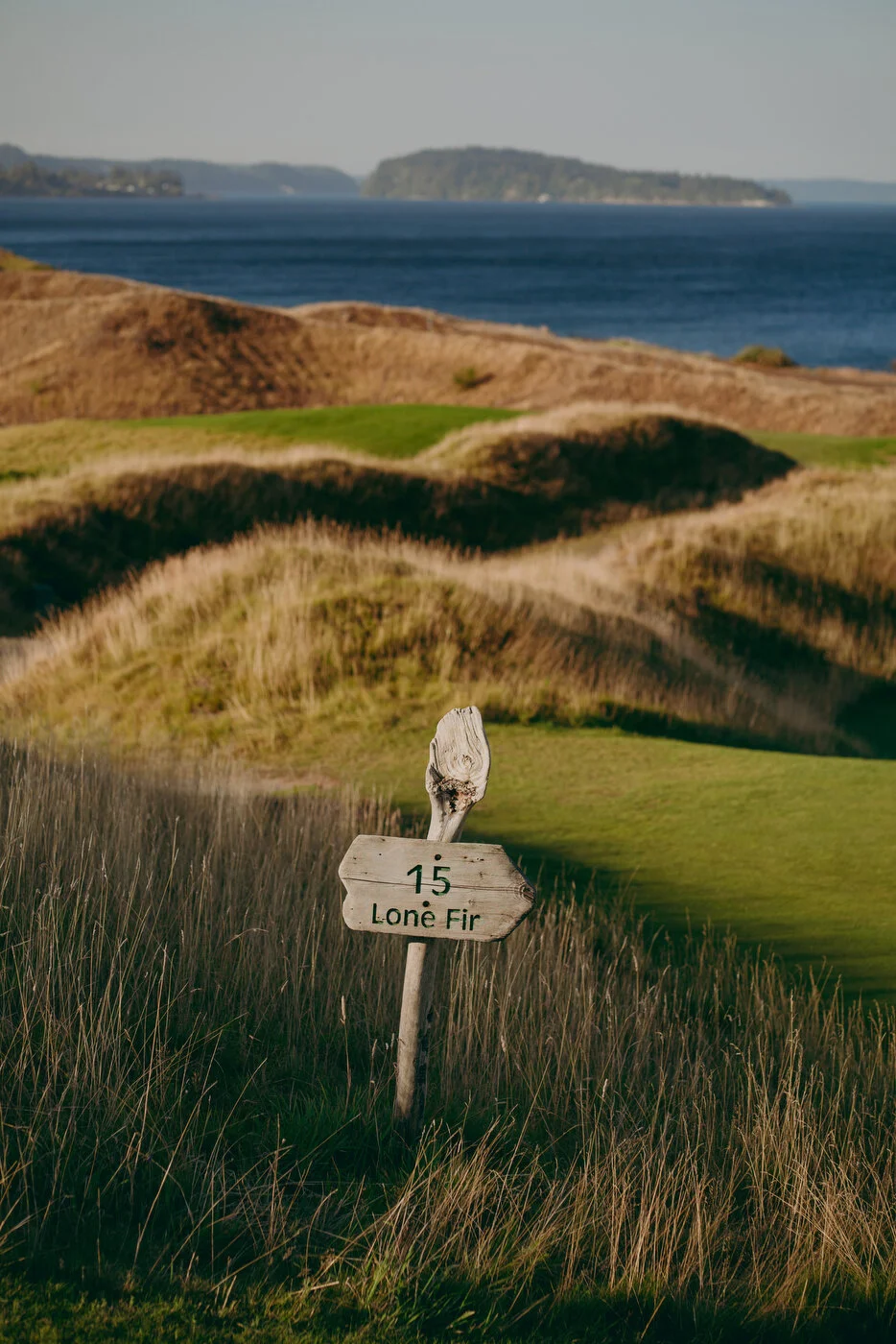 Chambers Best-56.JPG