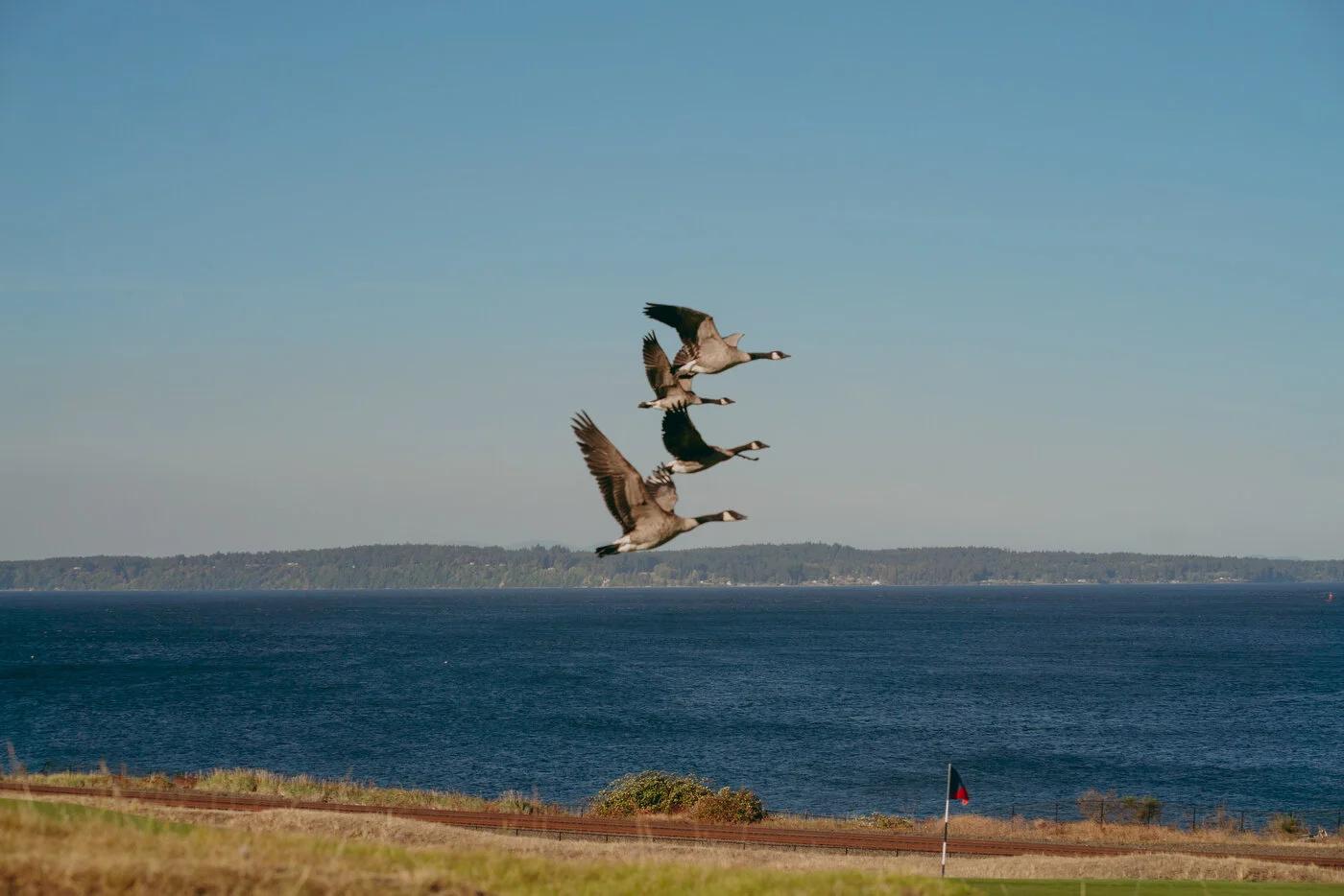 Chambers Best-64.JPG