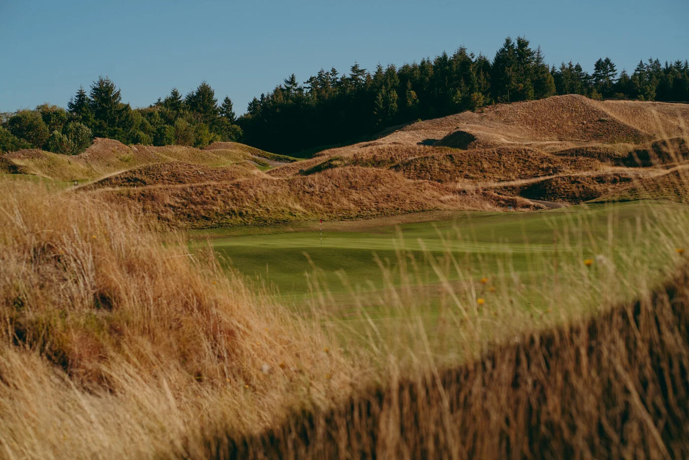 Chambers Best-65.JPG