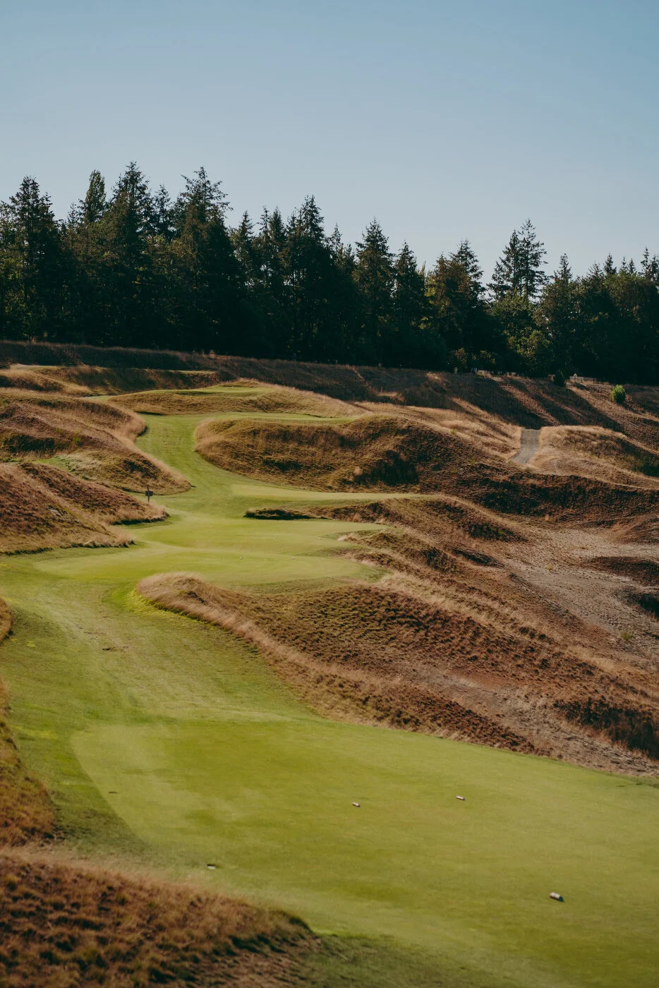 Chambers Best-74.JPG