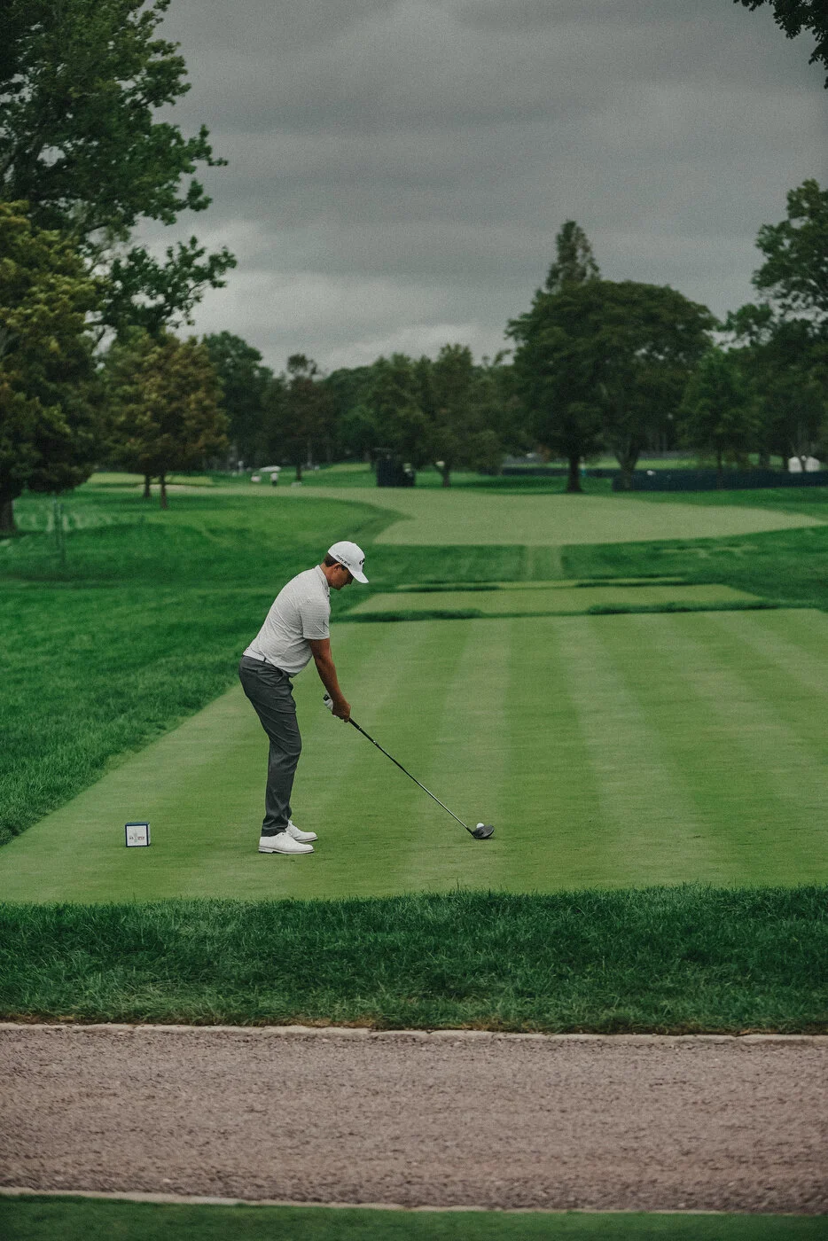 200913 - EDITS MARSH -45.JPG