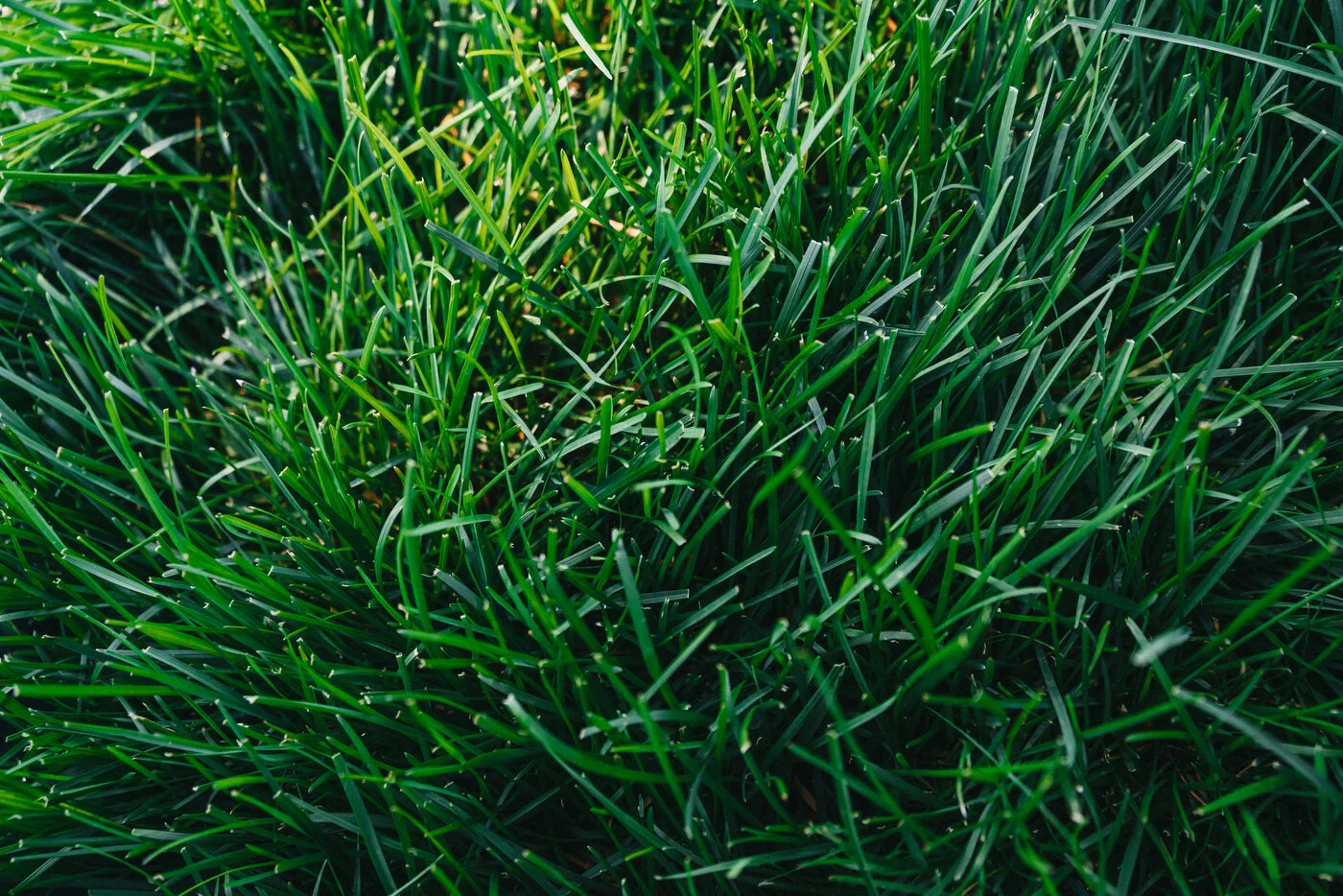 200919 - USO Edits WEB- 33.JPG