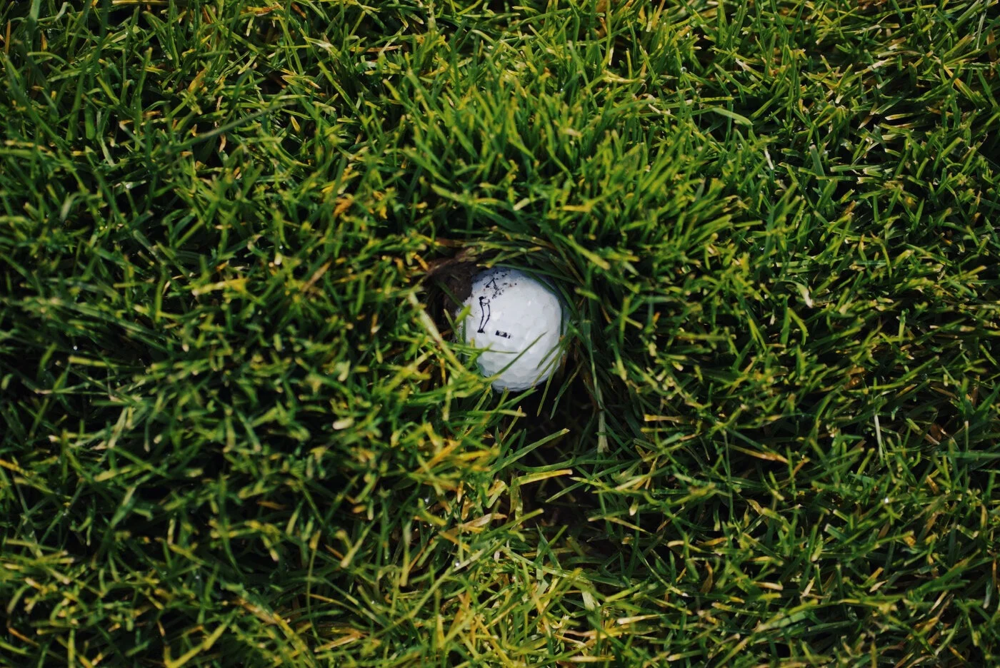 70D4D85F-B913-4D9F-9F7C-192A586A3AFF 2.JPG