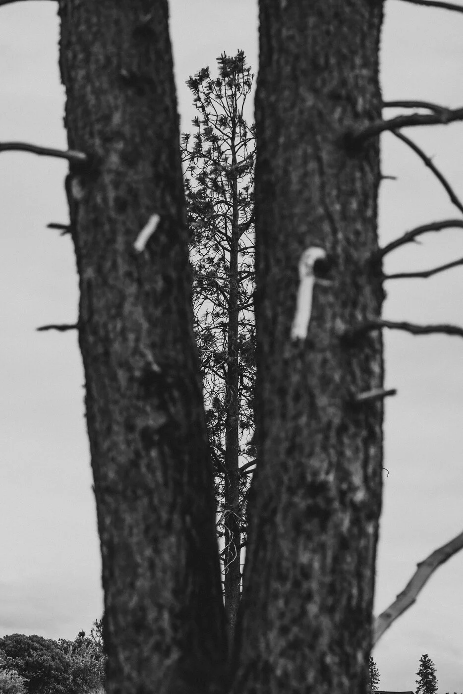 TETHEROW -47.JPG