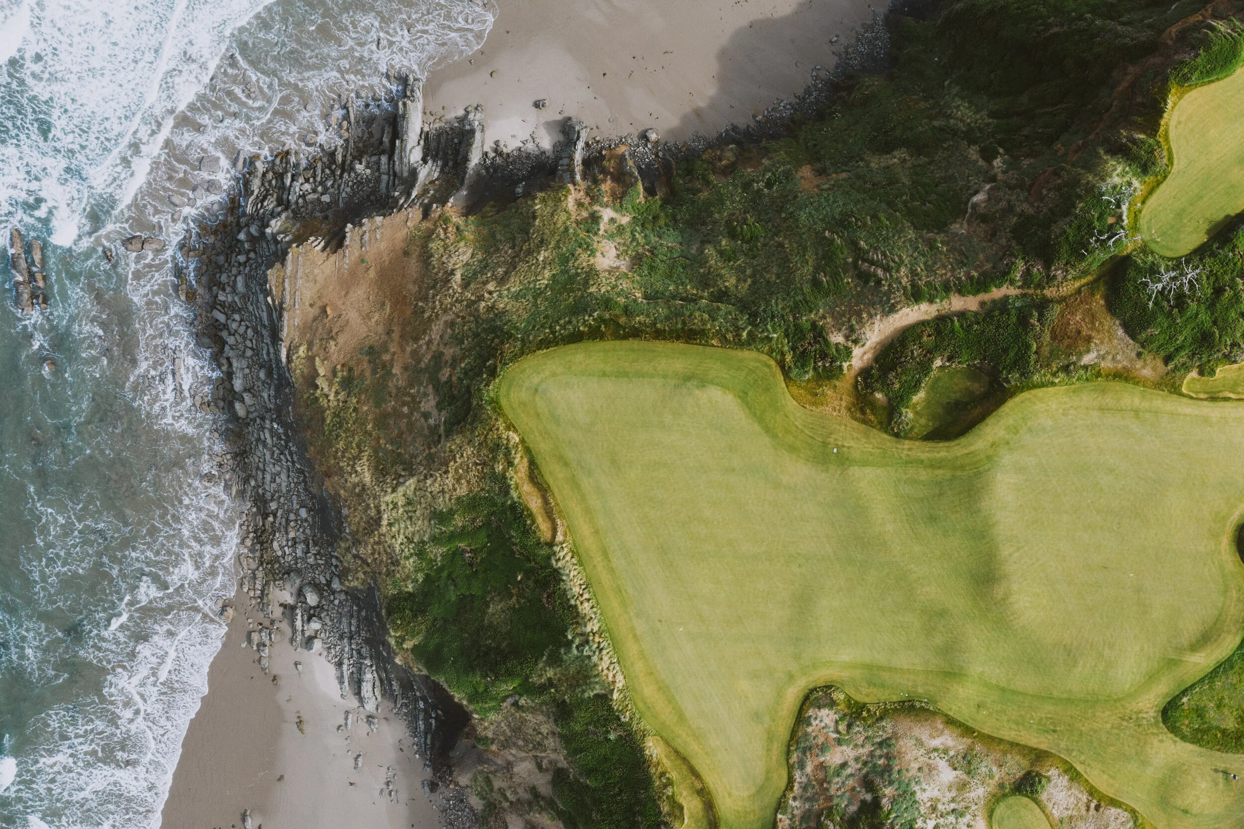Sheep Aerial June -33.JPG