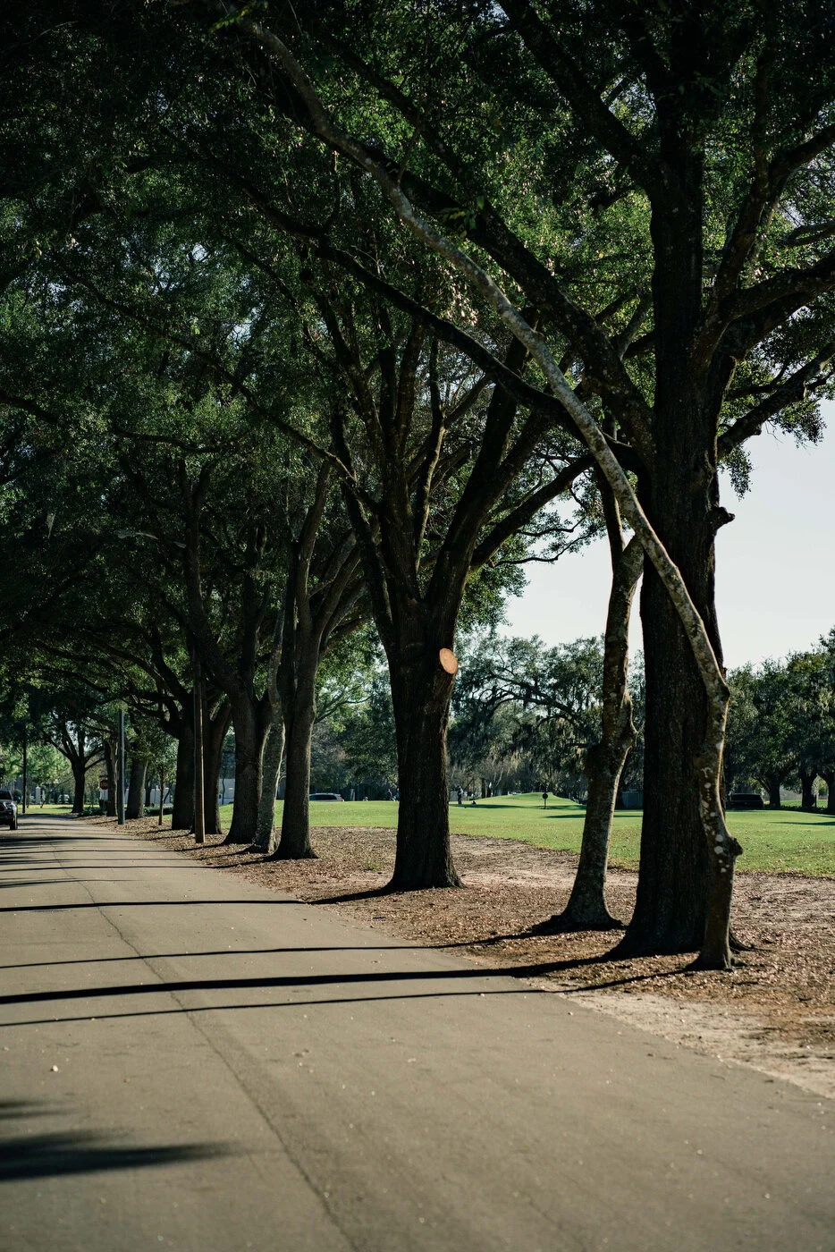 TRUE - WP9 Scramble -45.JPG