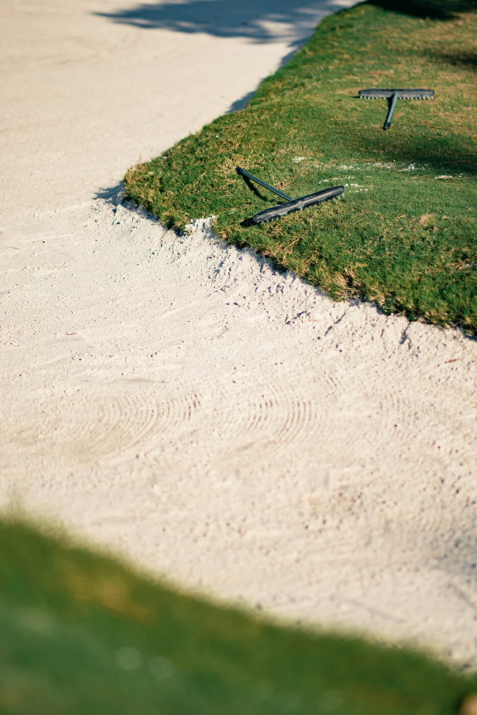 TRUE - WP9 Scramble -62.JPG