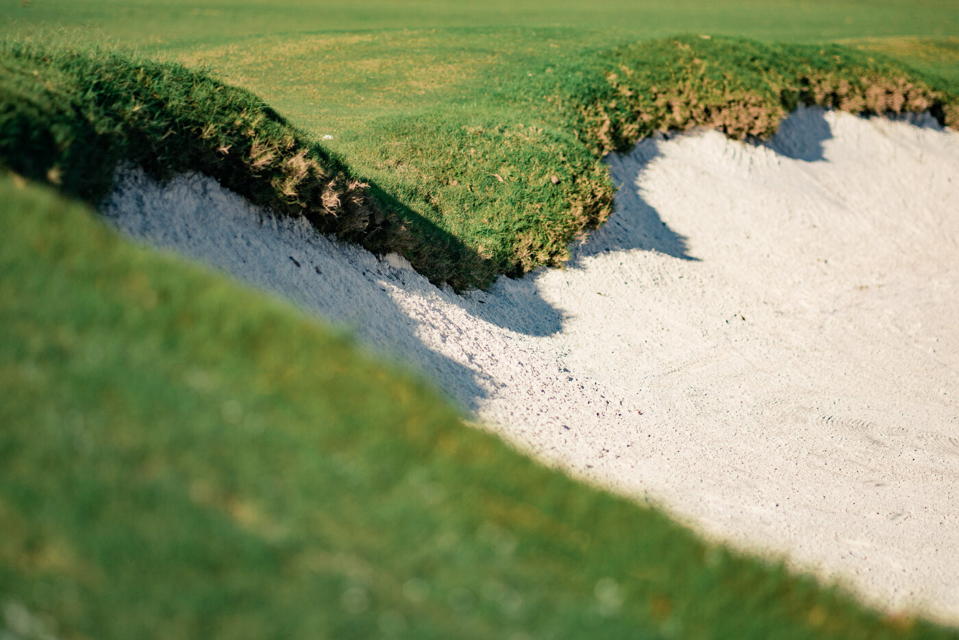 TRUE - WP9 Scramble -66.JPG