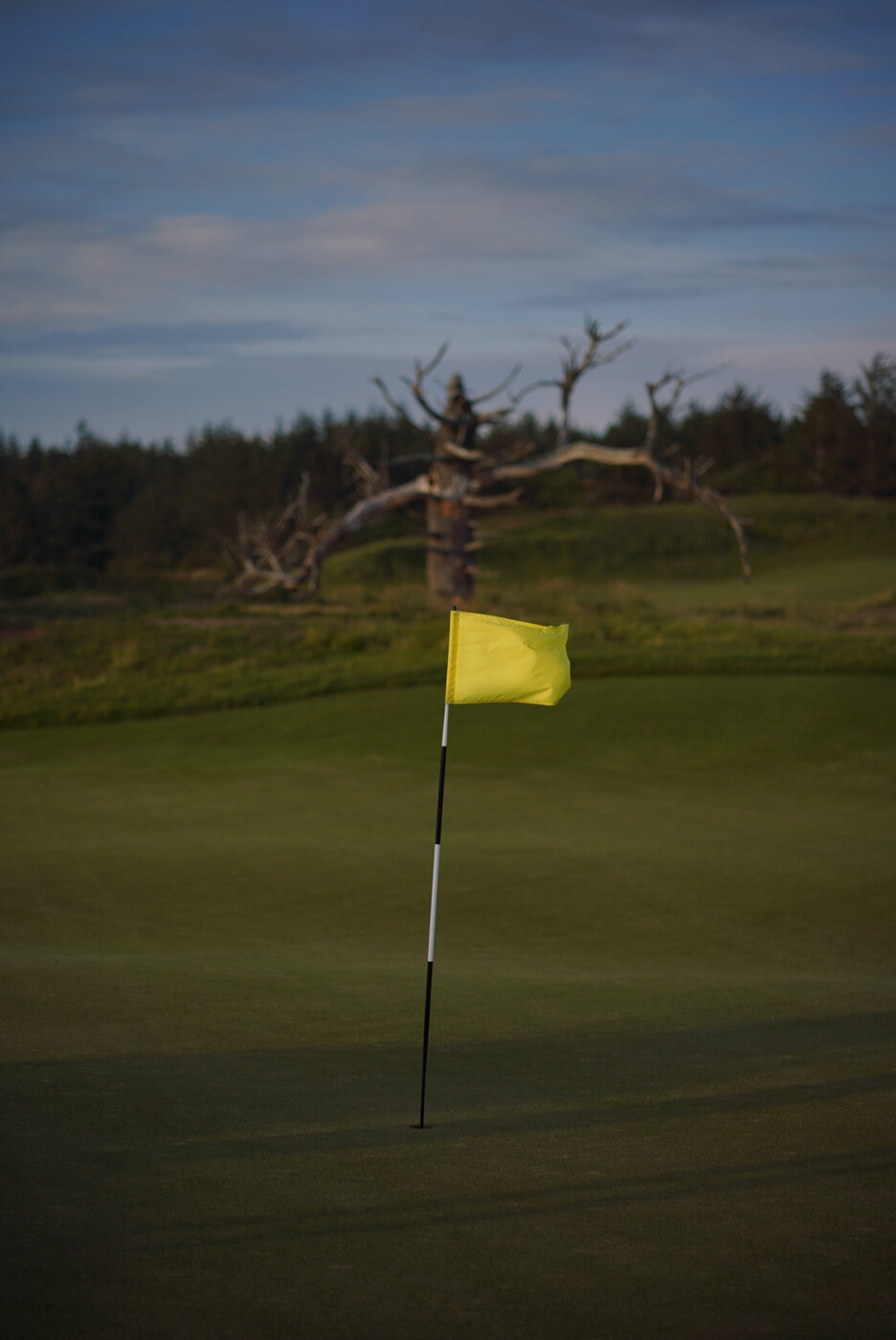 Bandon Summer Quick Edits 2.JPG