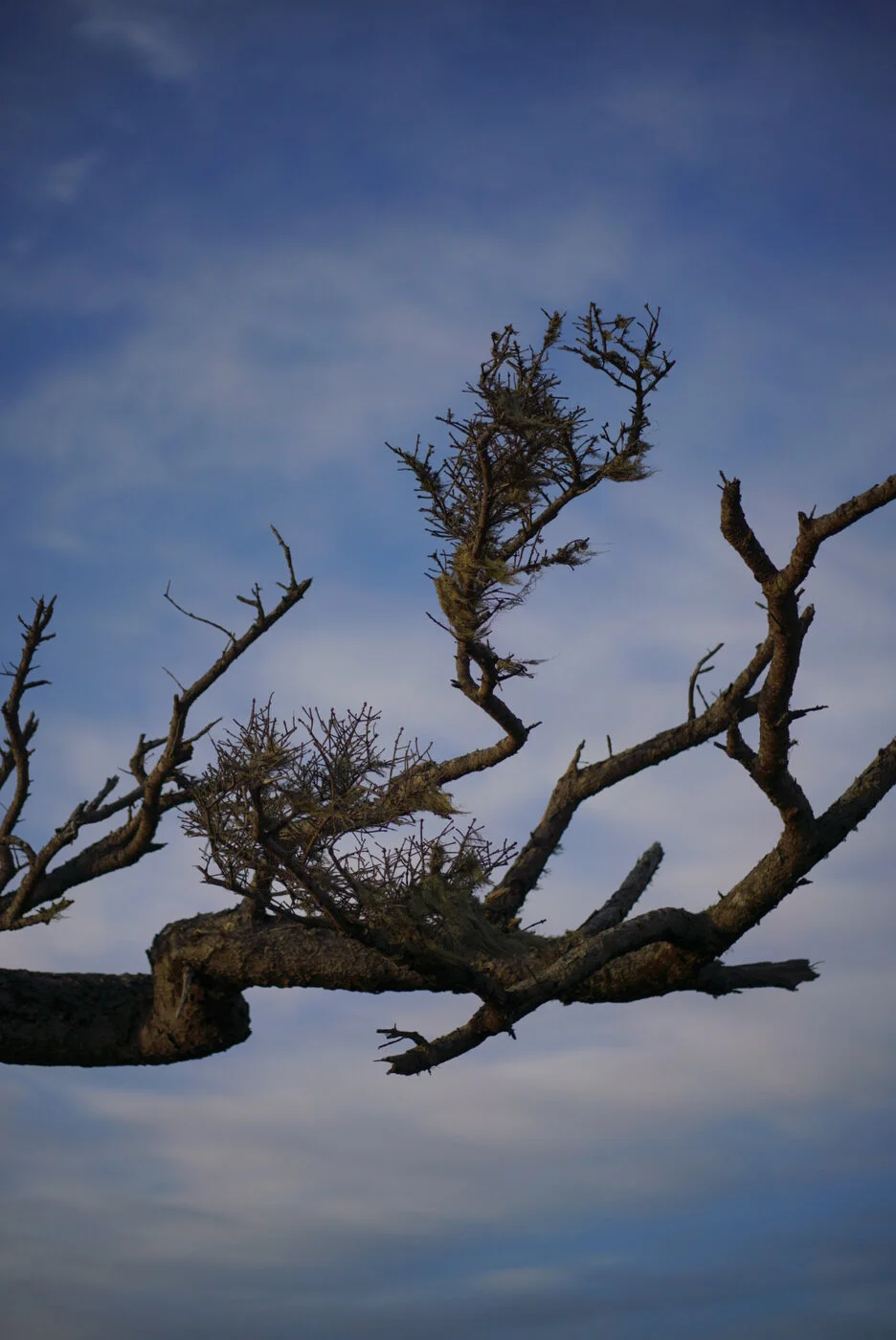 Bandon Summer Quick Edits 3.JPG