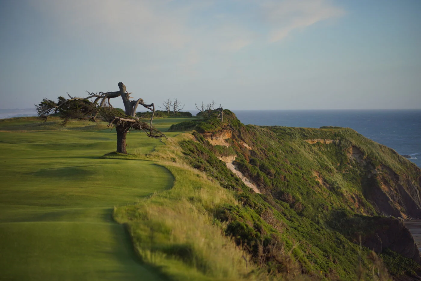 Bandon Summer Quick Edits 4.JPG