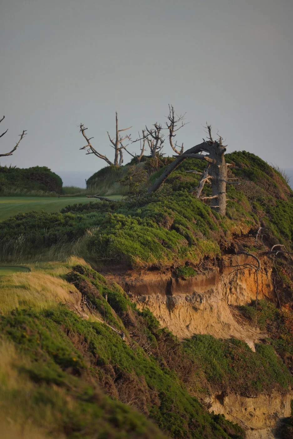 Bandon Summer Quick Edits 10.JPG