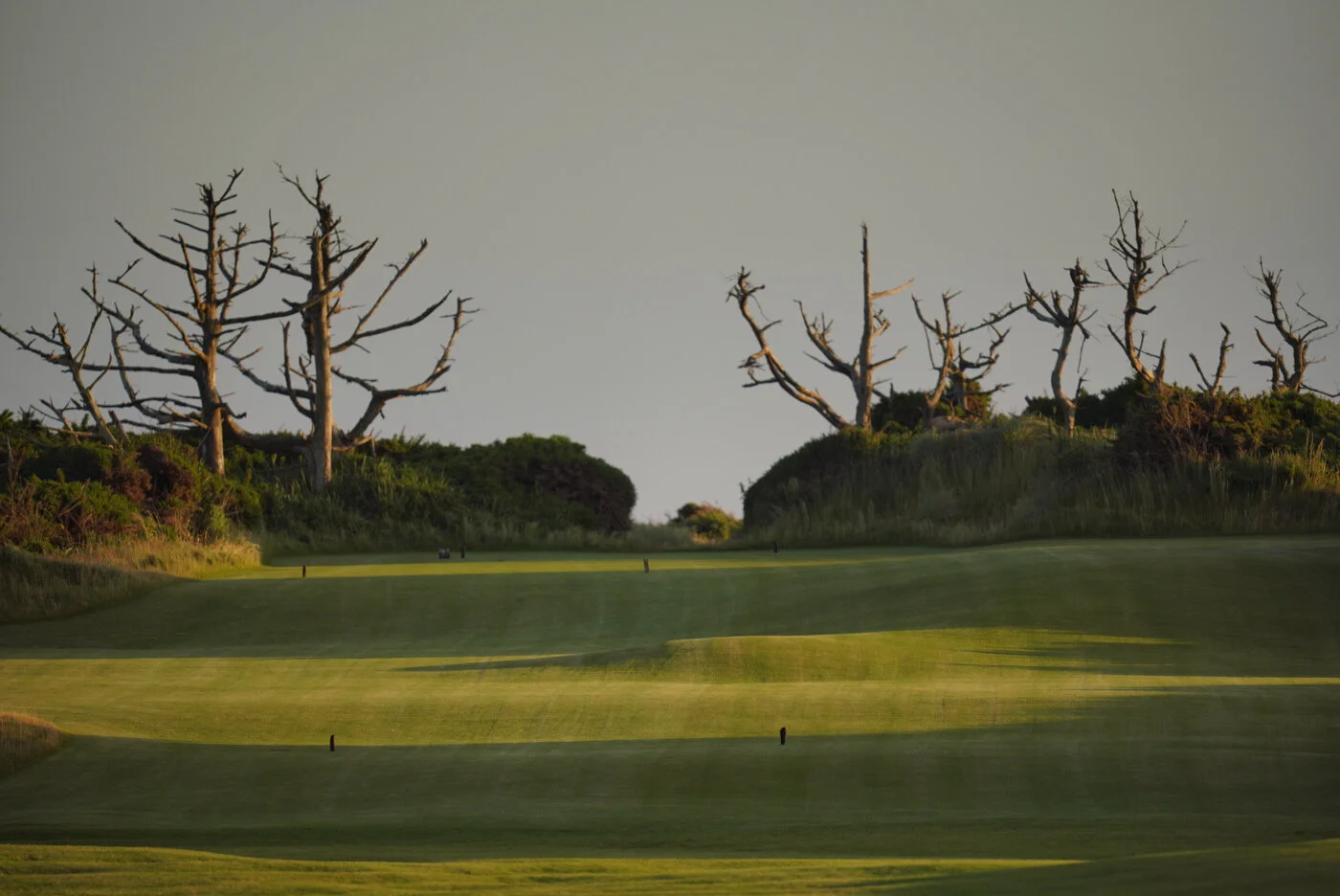 Bandon Summer Quick Edits 15.JPG