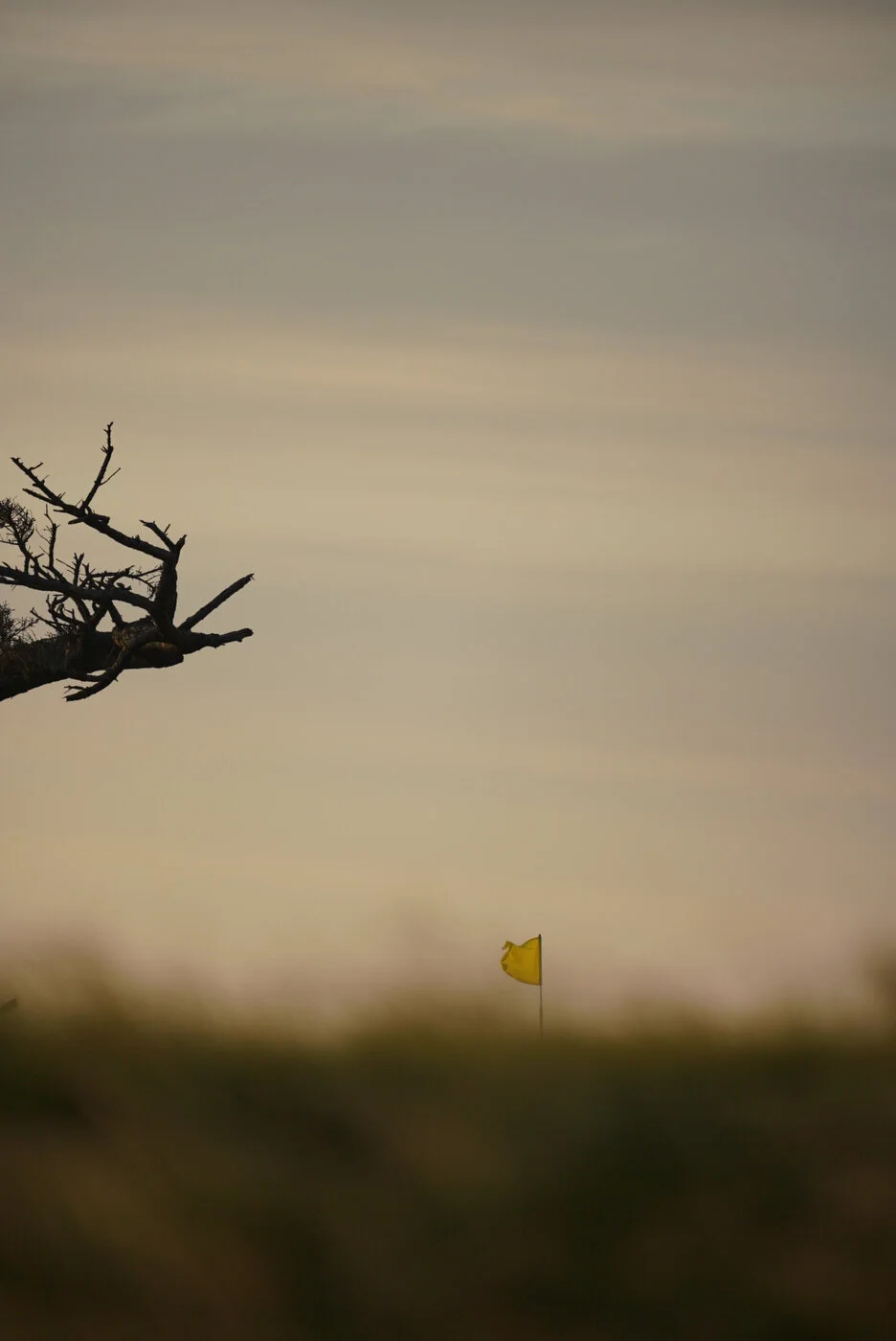 Bandon Summer Quick Edits 19.JPG