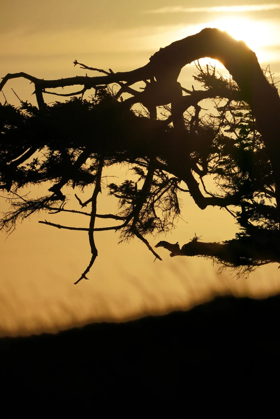 Bandon Summer Quick Edits 20.JPG