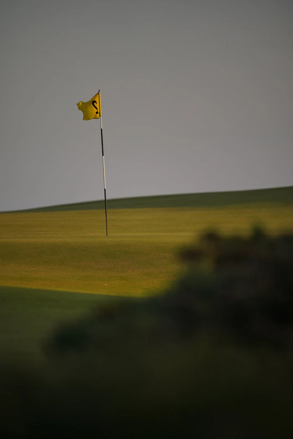 Bandon Summer Quick Edits 23.JPG