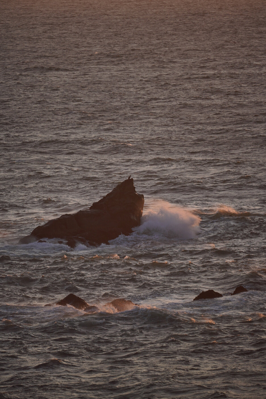 Bandon Summer Quick Edits 38.JPG
