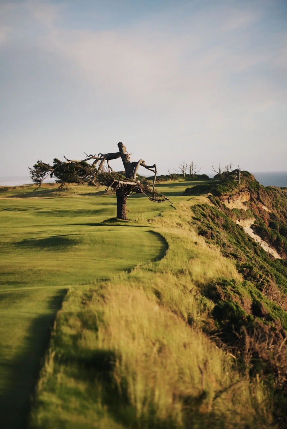 Bandon Summer Quick Edits 56.JPG