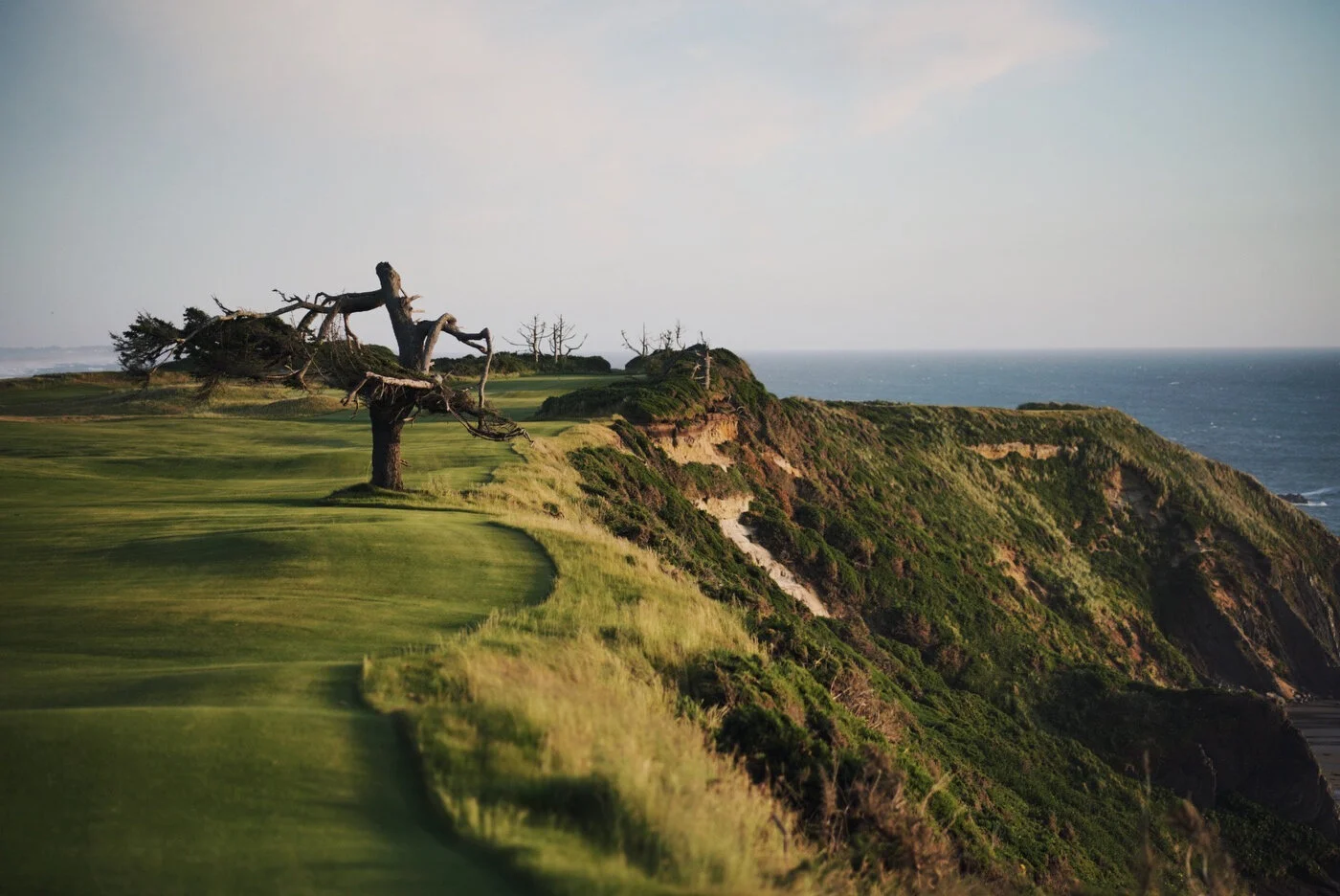 Bandon Summer Quick Edits 59.JPG