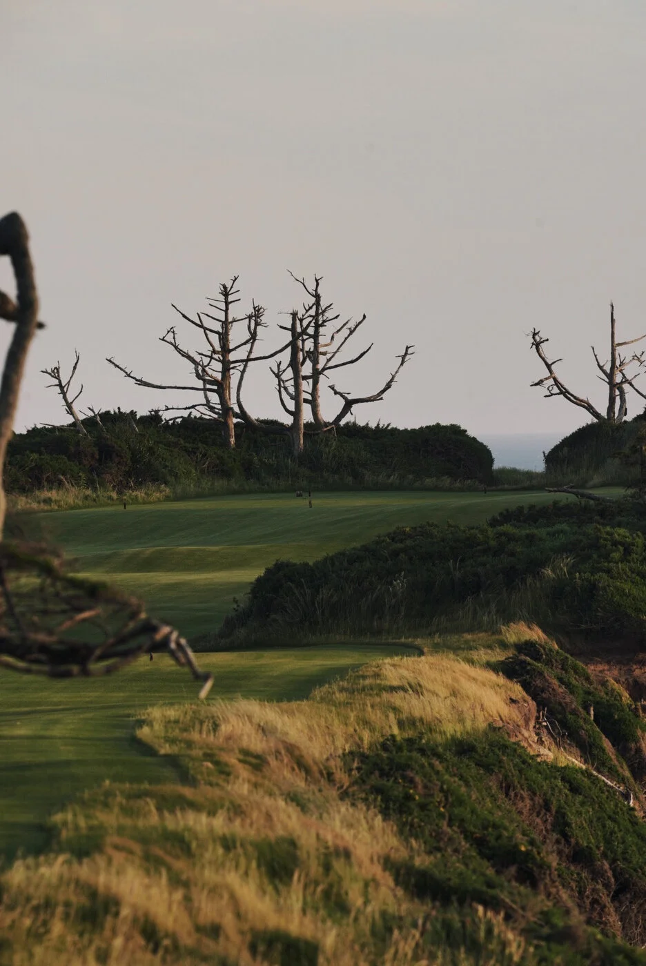 Bandon Summer Quick Edits 64.JPG