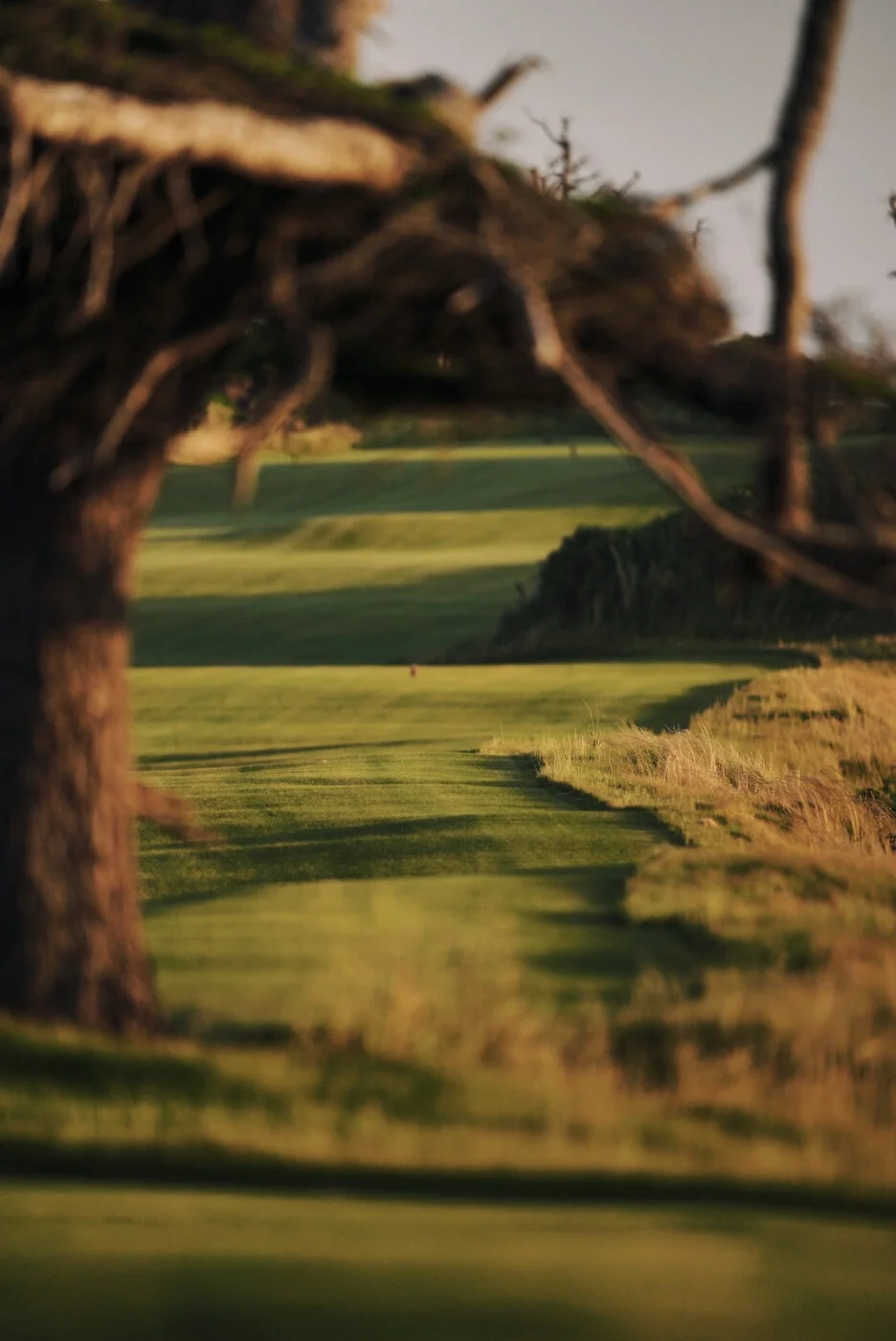 Bandon Summer Quick Edits 68.JPG