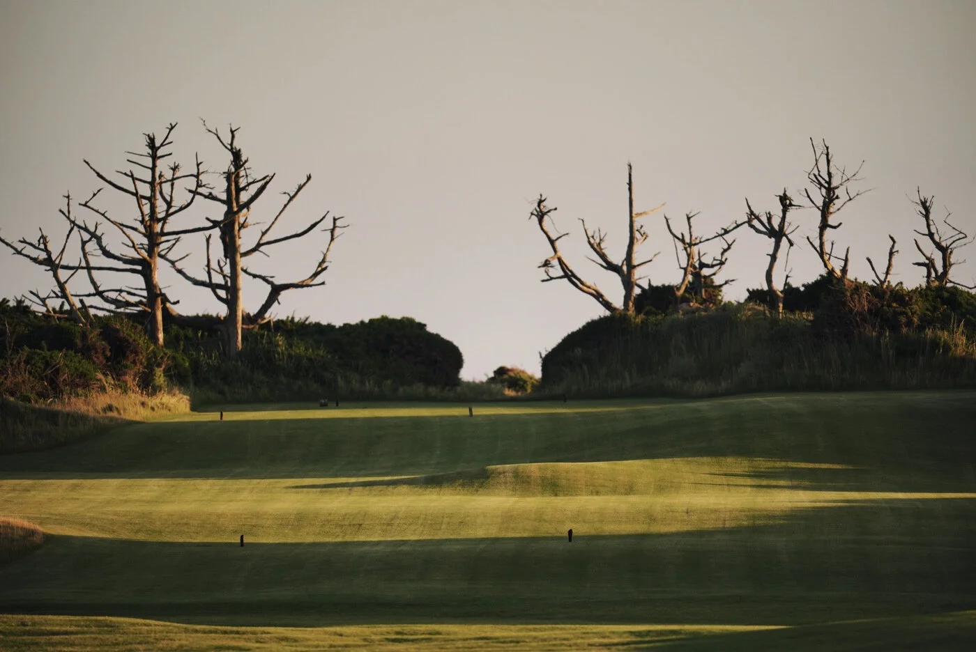 Bandon Summer Quick Edits 70.JPG