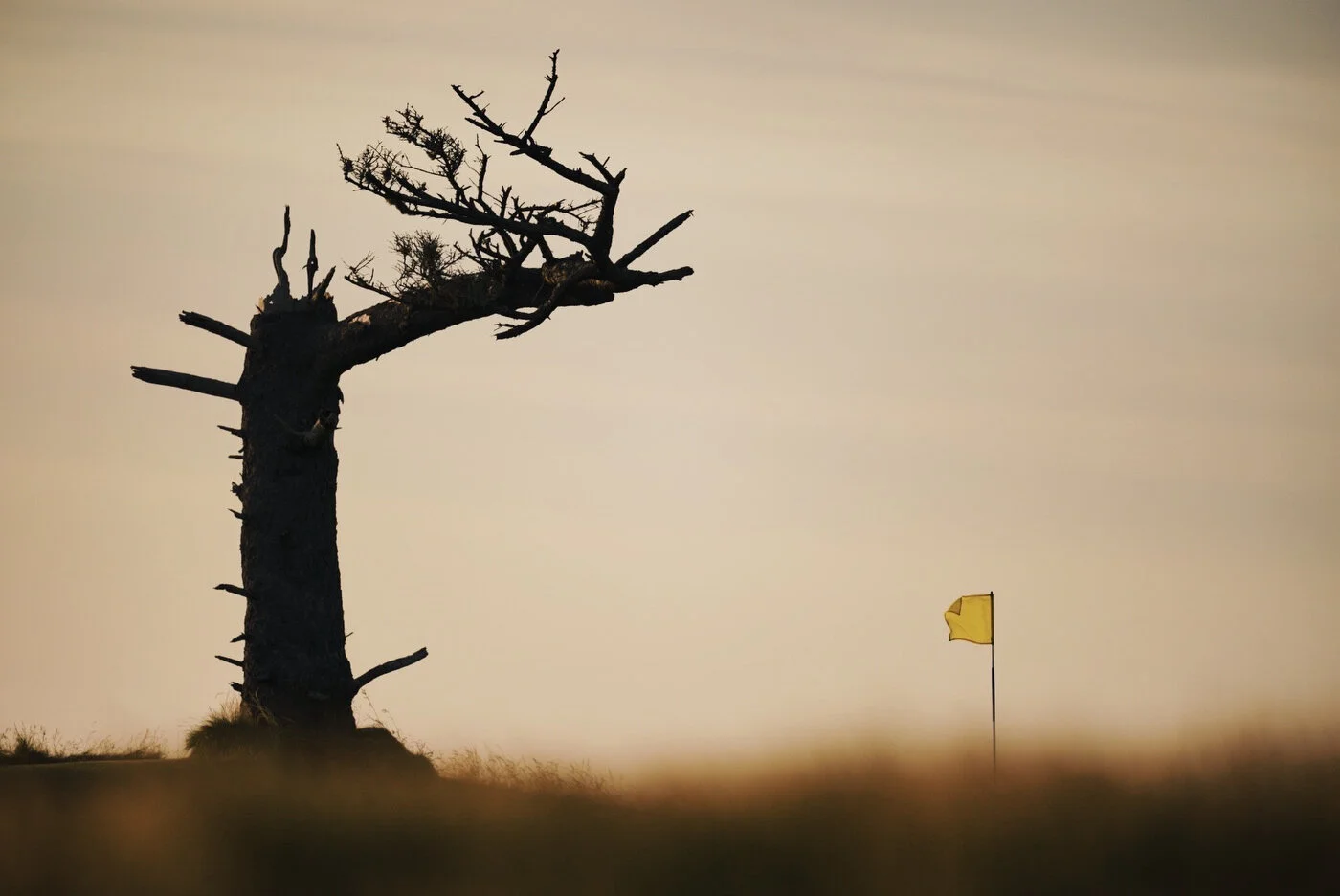 Bandon Summer Quick Edits 72.JPG